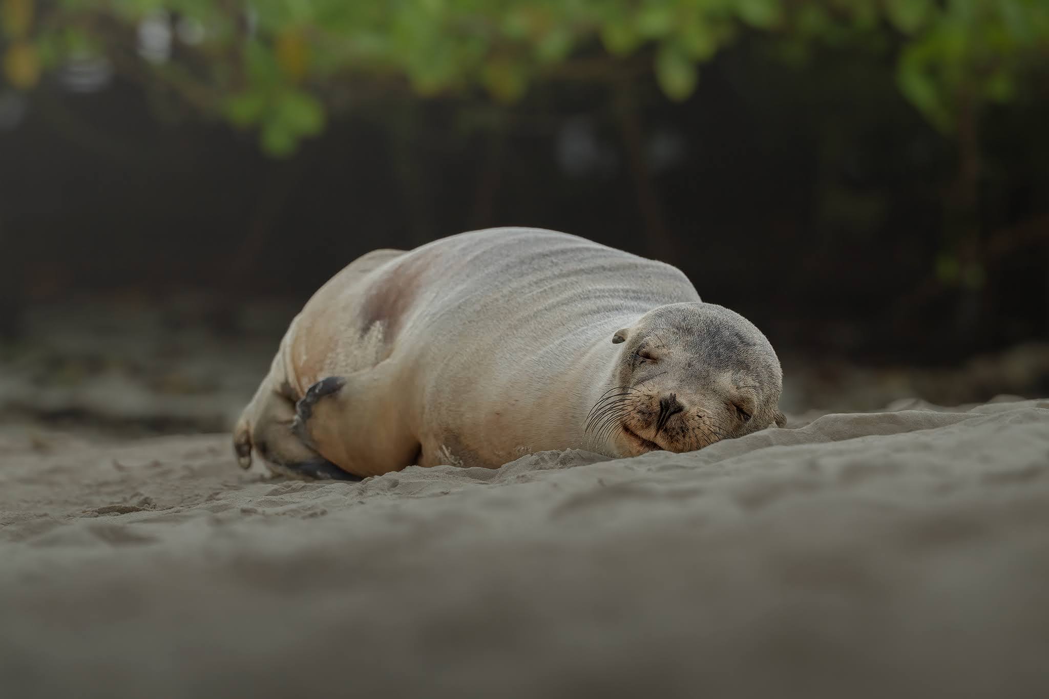 Nap..