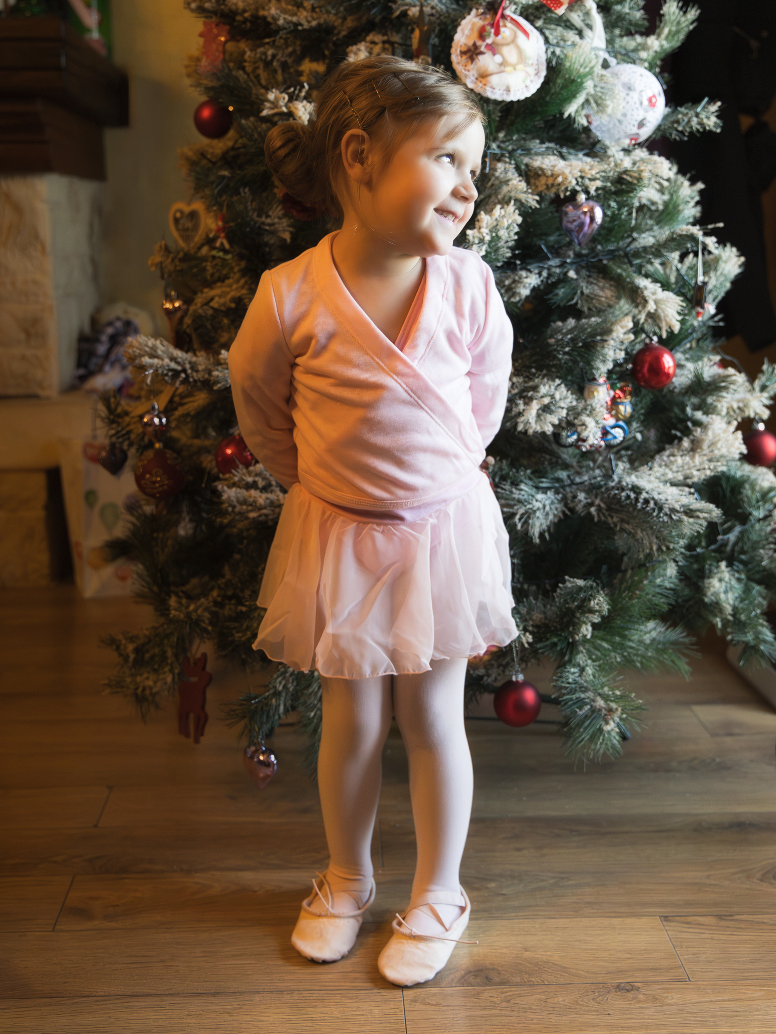 Preparation for the Dance