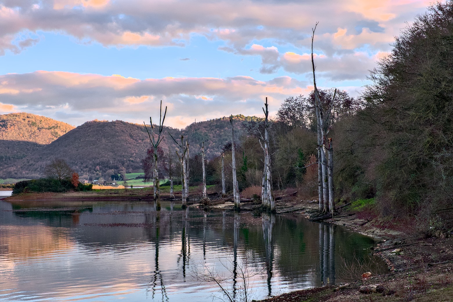 I guardiani del lago