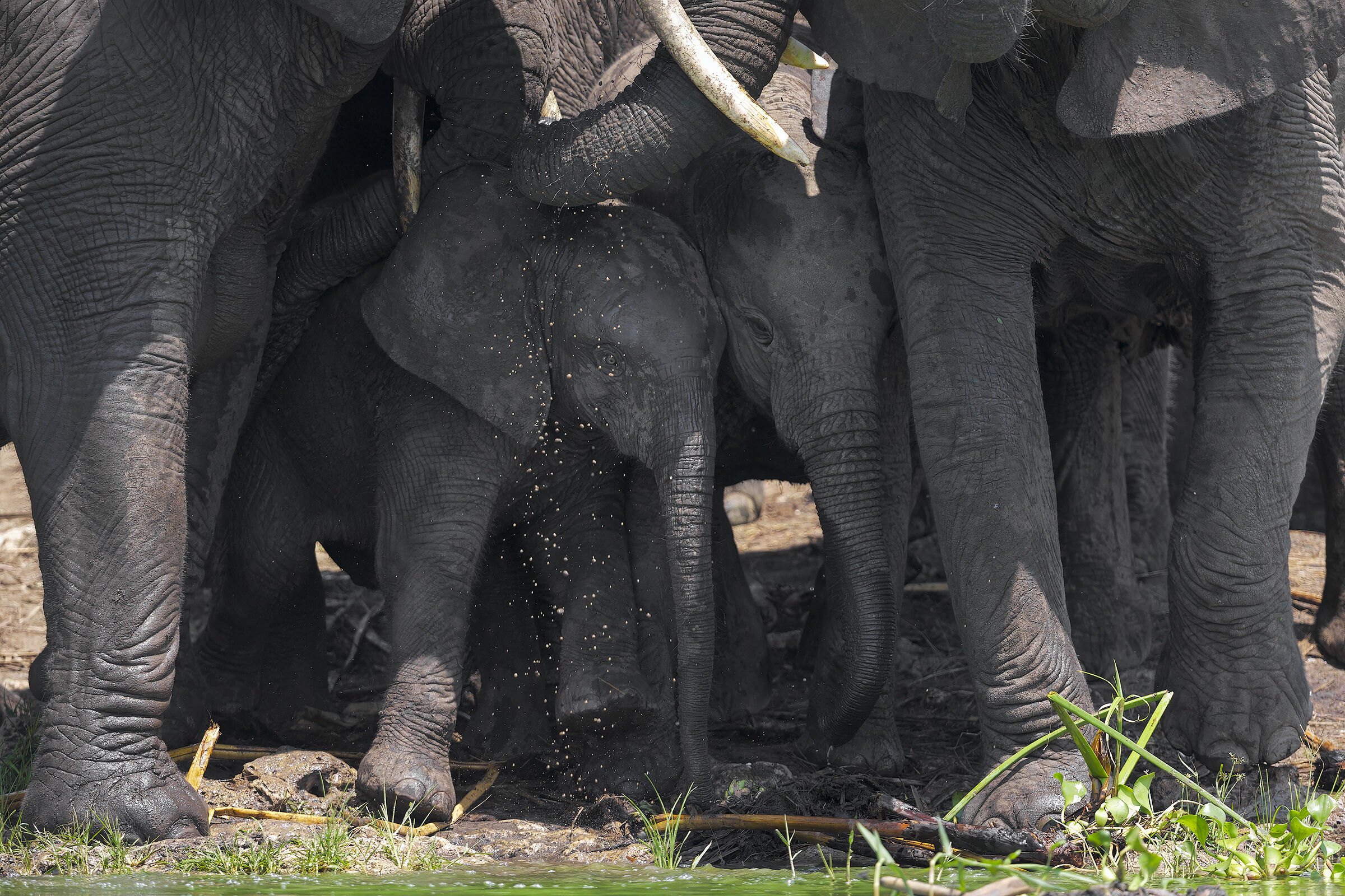 L'importanza della famiglia
