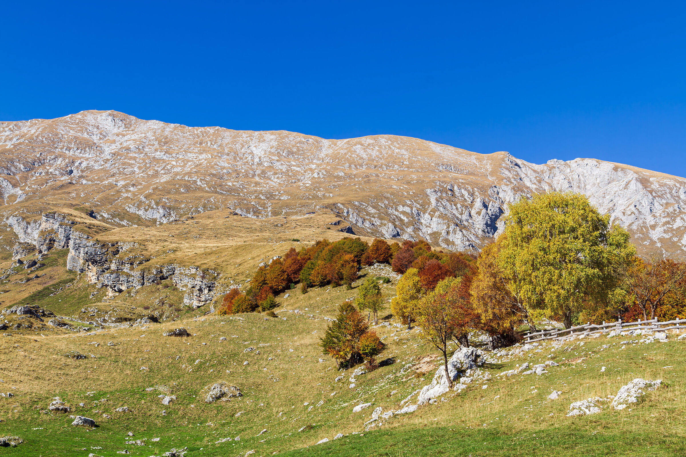 Grigna in autumn