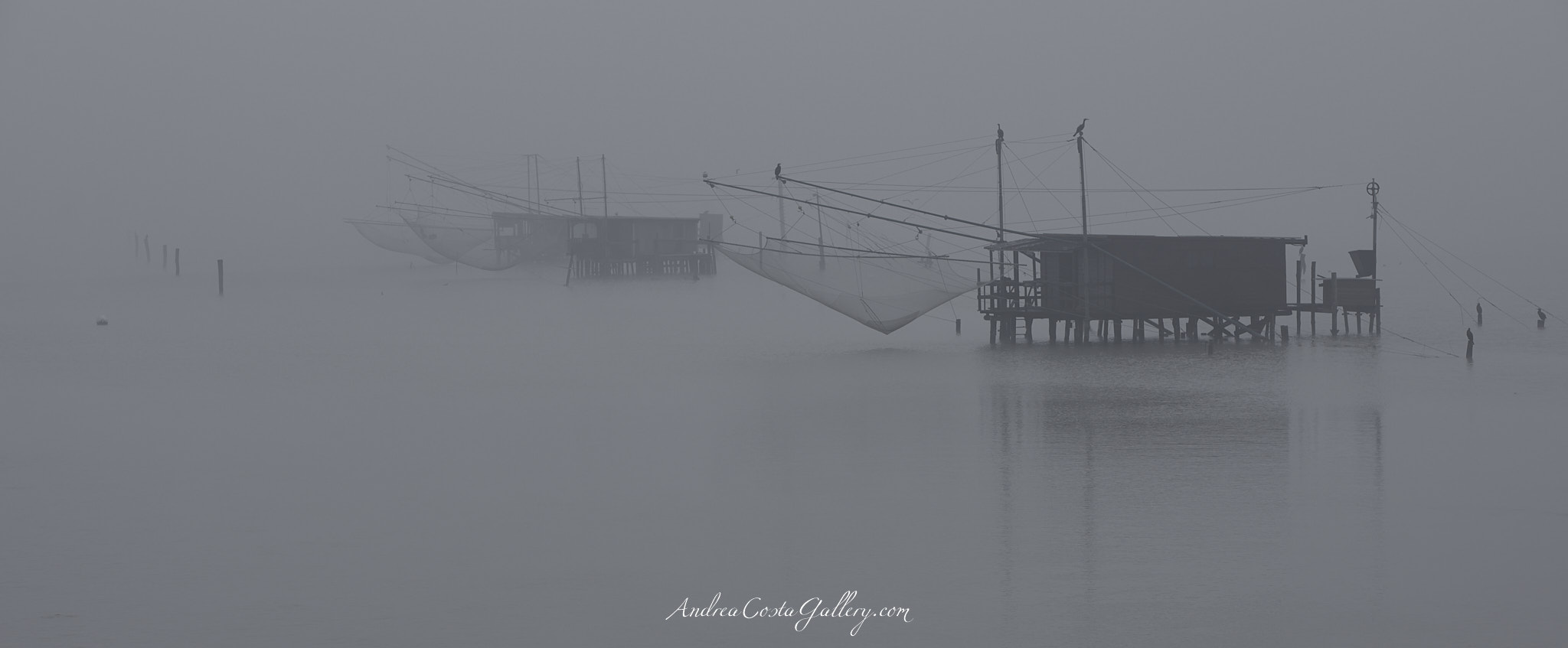 La nebbia
