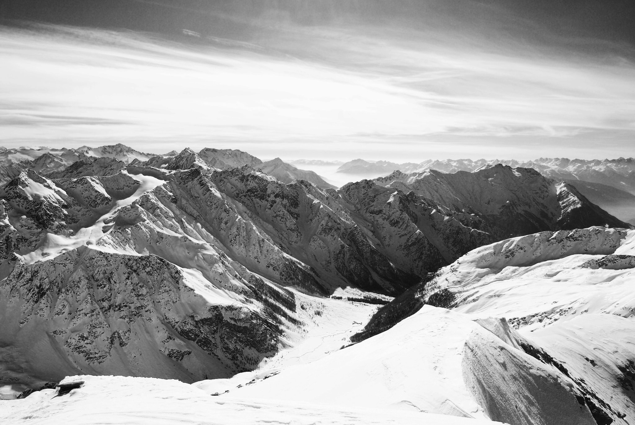 plateau of the rosette