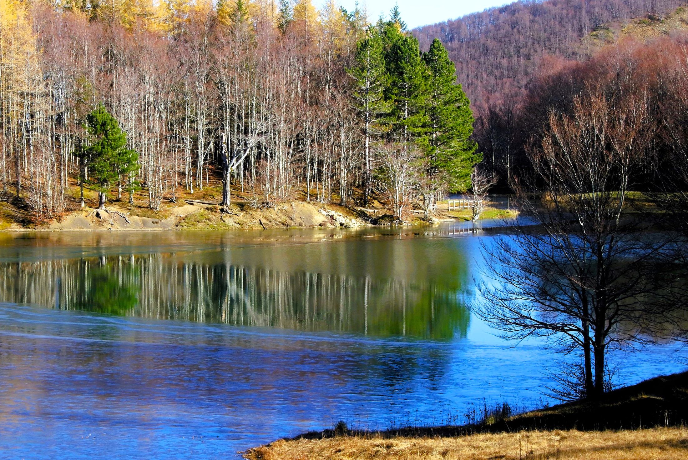 Reflections in the lake
