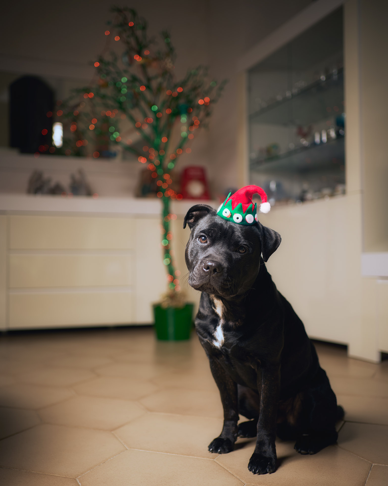 Auguri di buon Natale