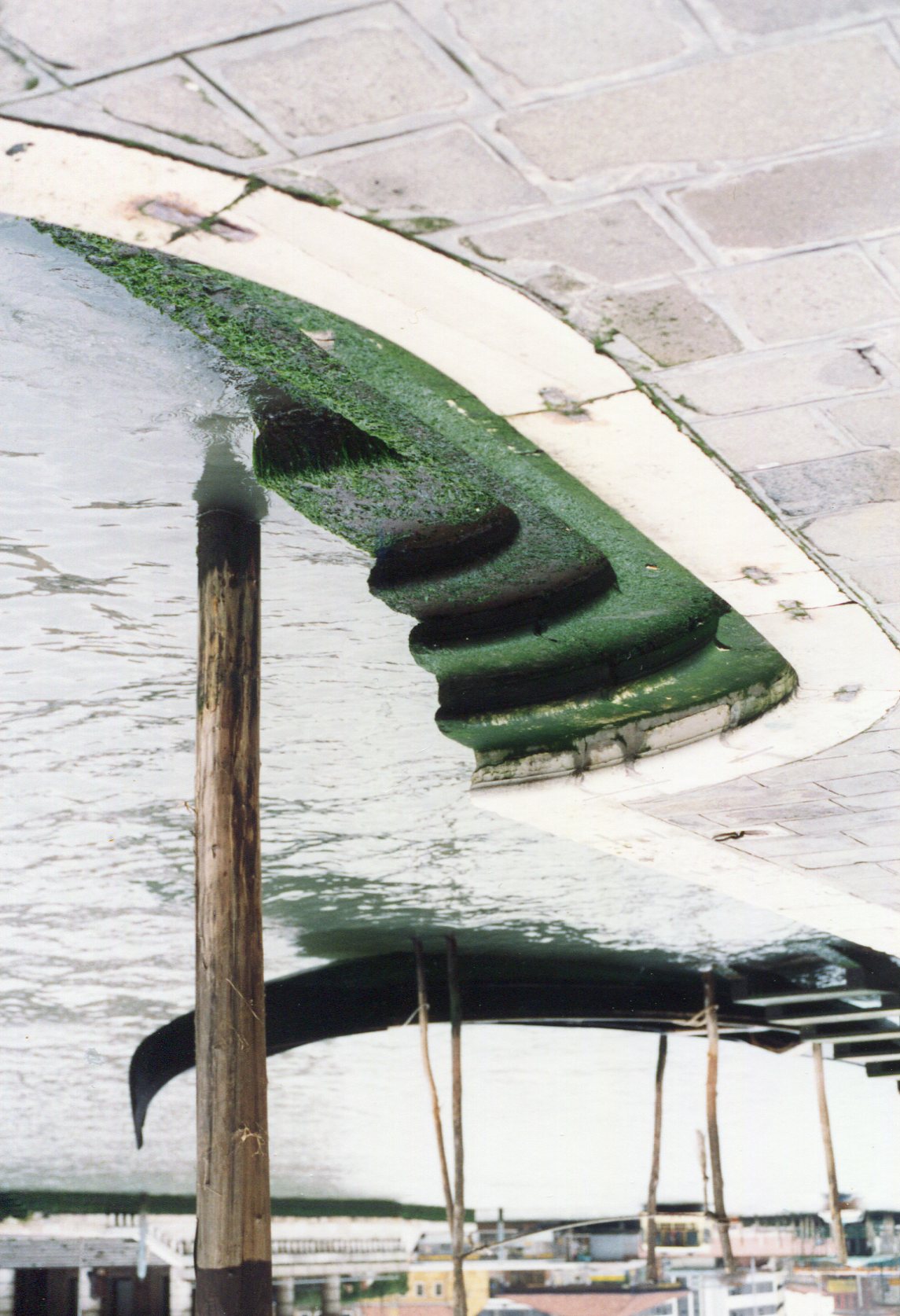 Venezia