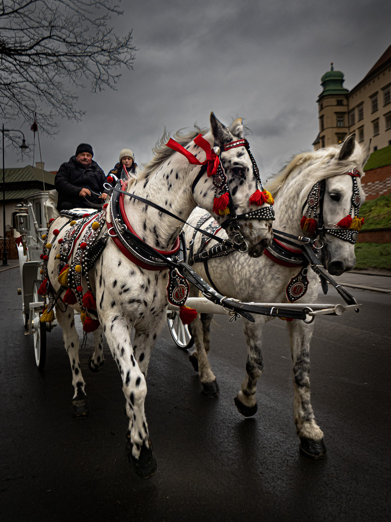 Kracovia: un taxi speciale...