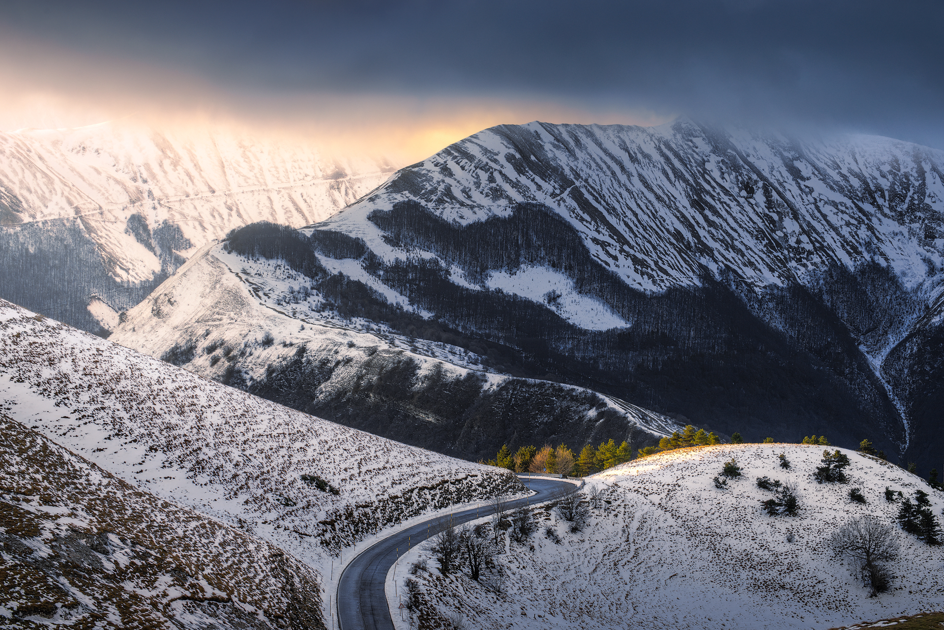 Pintura di bolognola