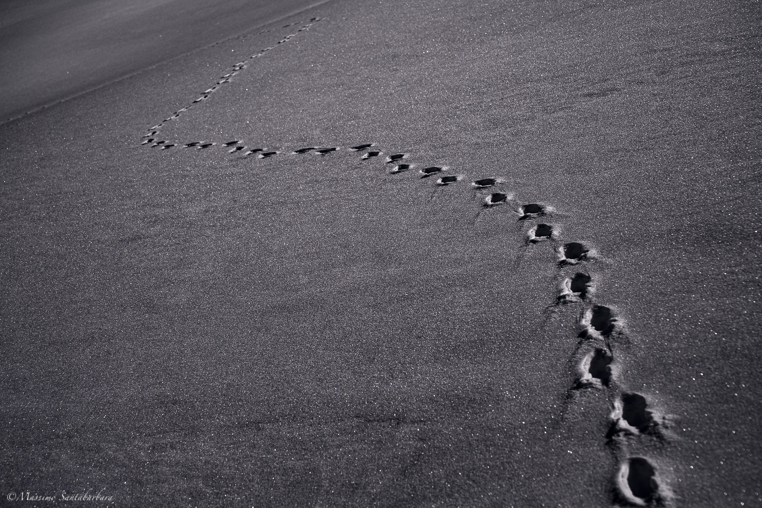 Tracks