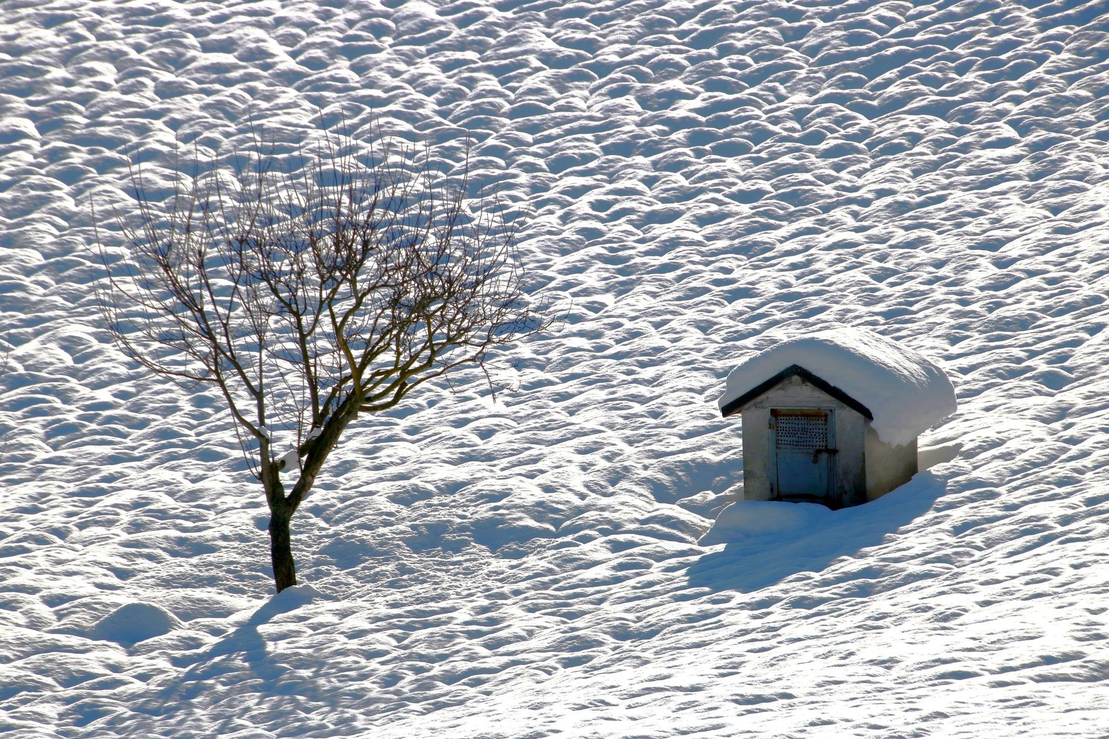 Snow on the roof