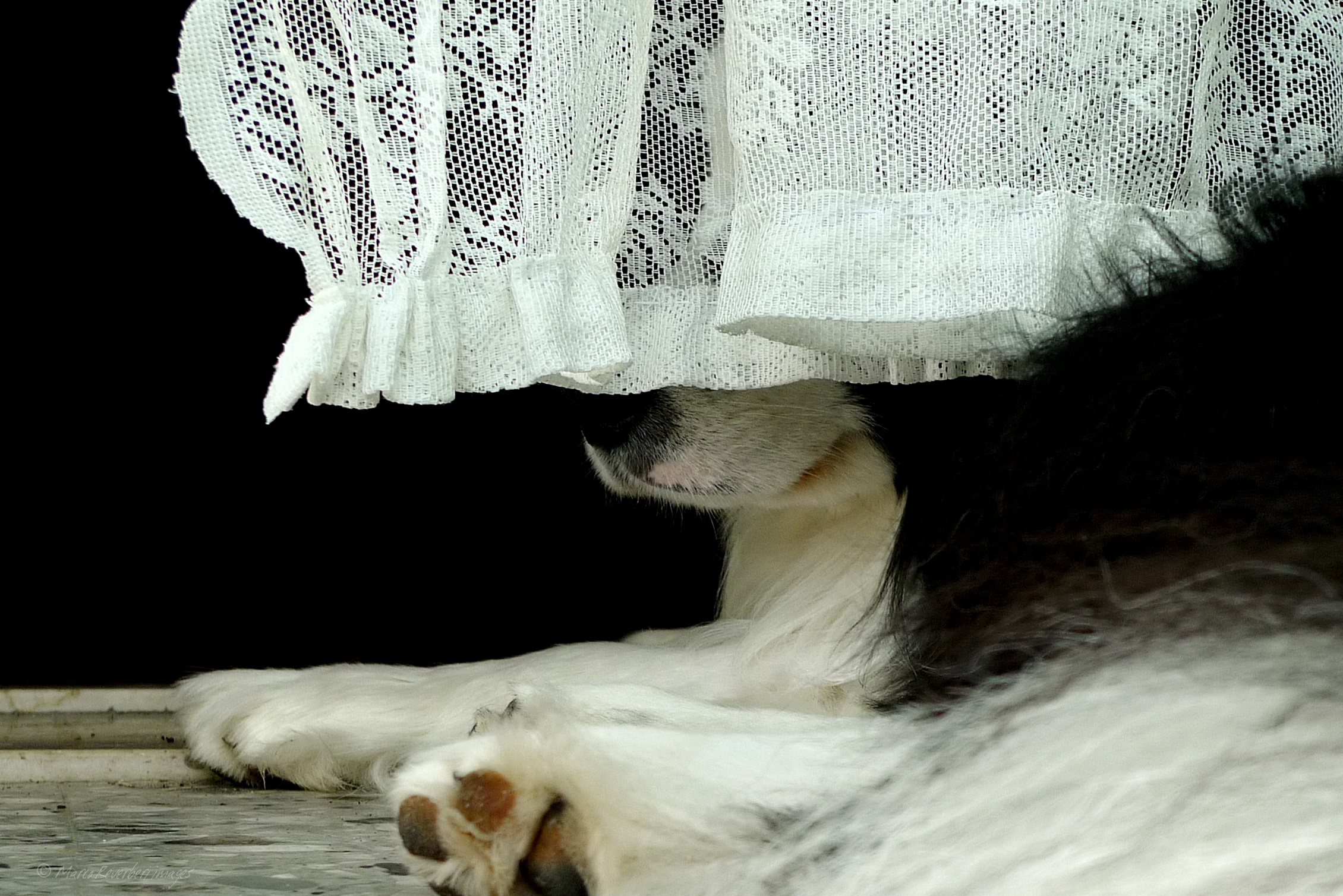 Here... so no one sees me... (Freak)