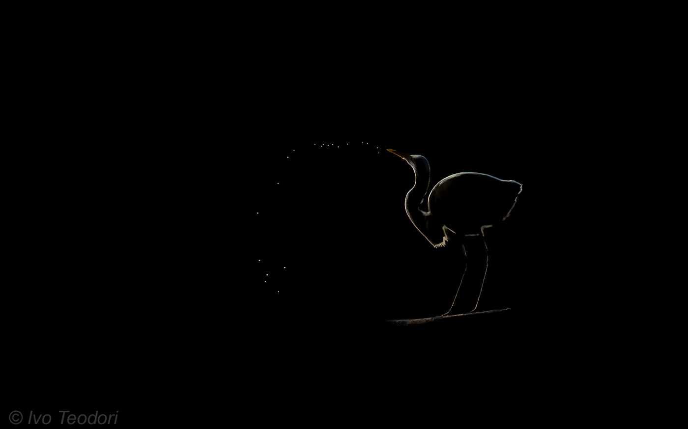 At nightfall.