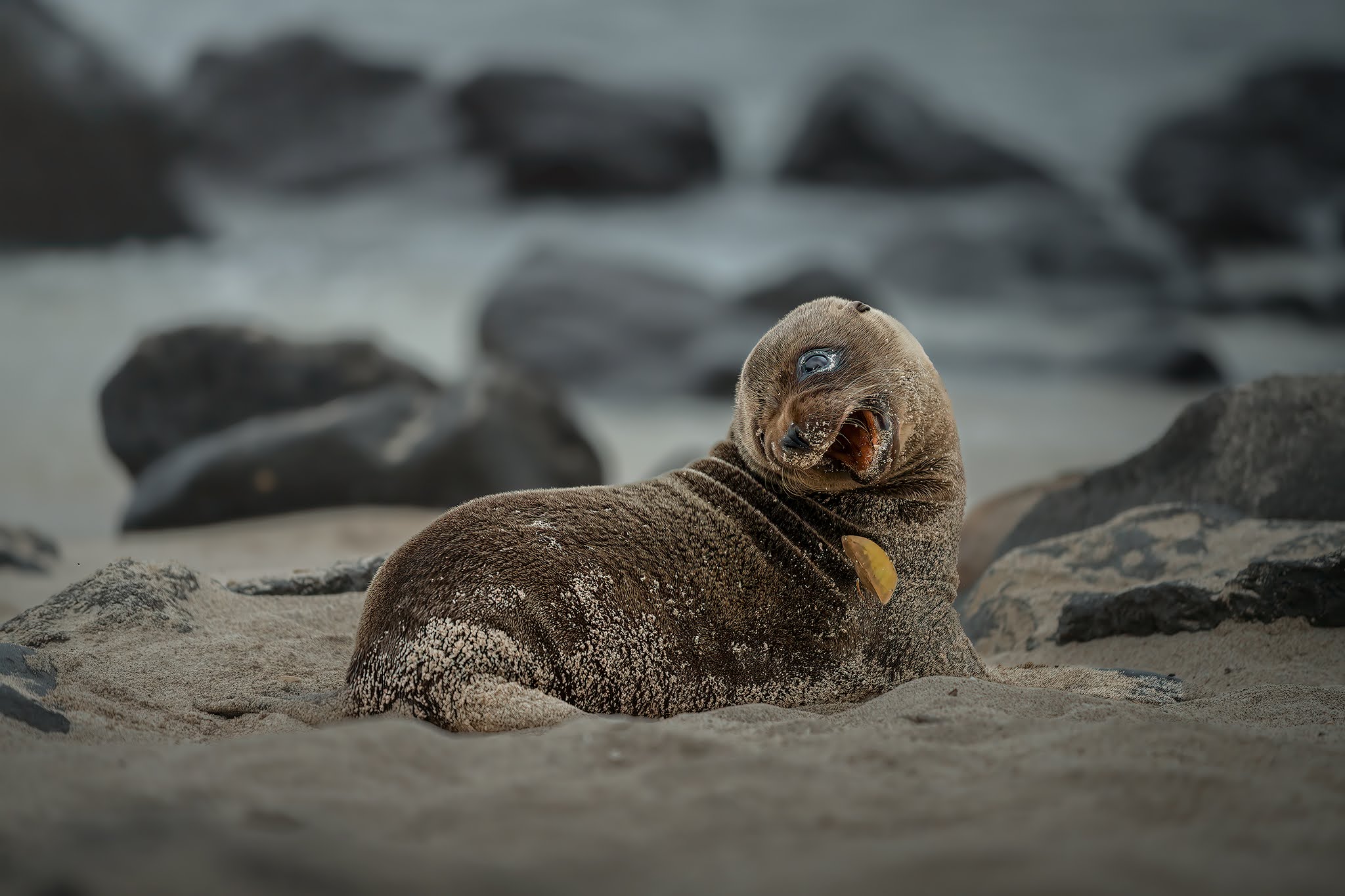On the beach...