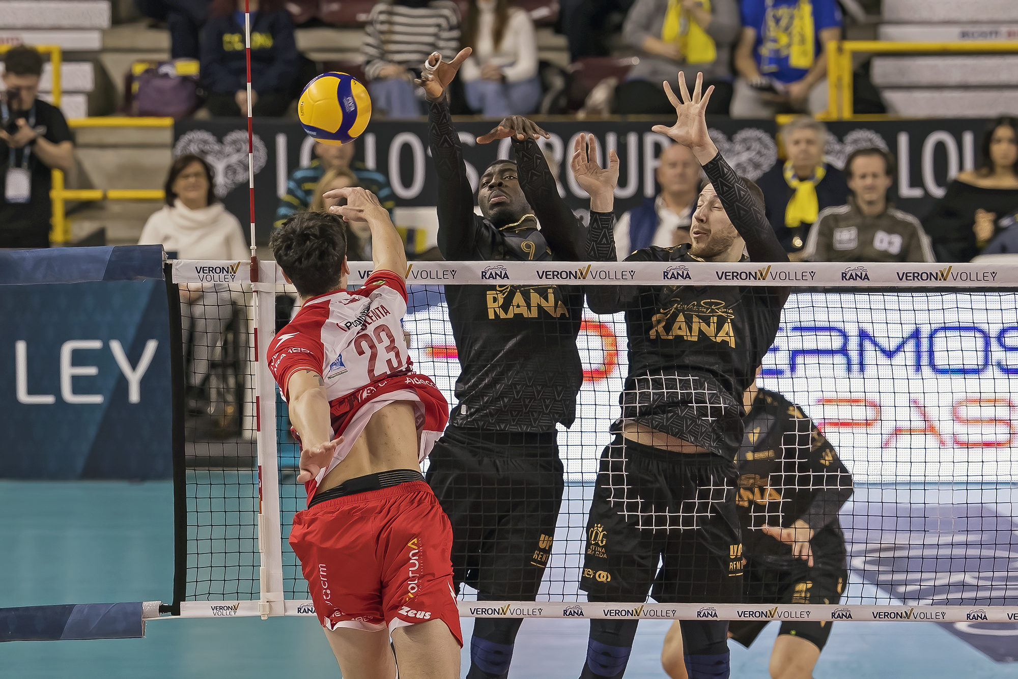 Volley - Rana Verona vs Piacenza