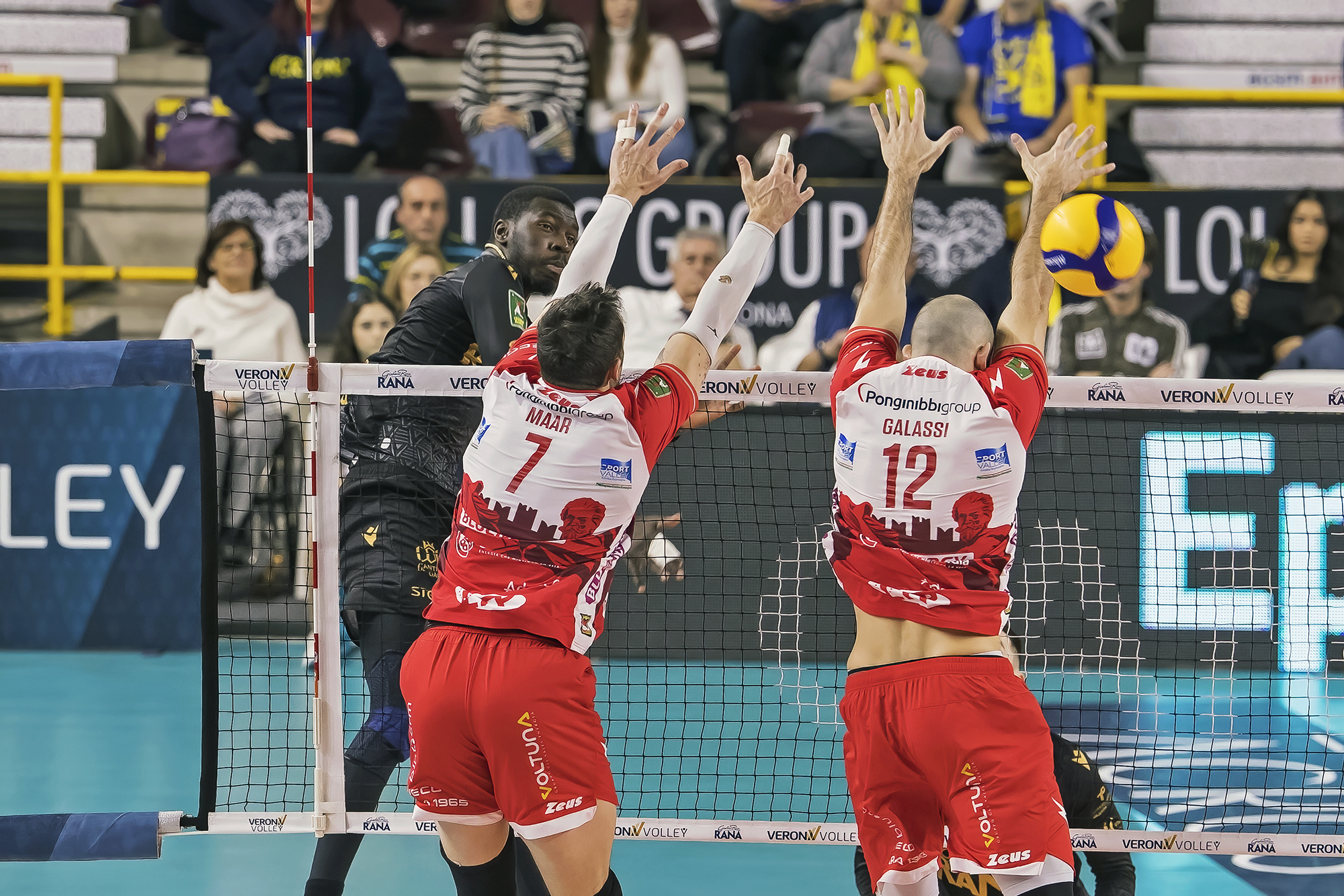 Volley - Rana Verona vs Piacenza