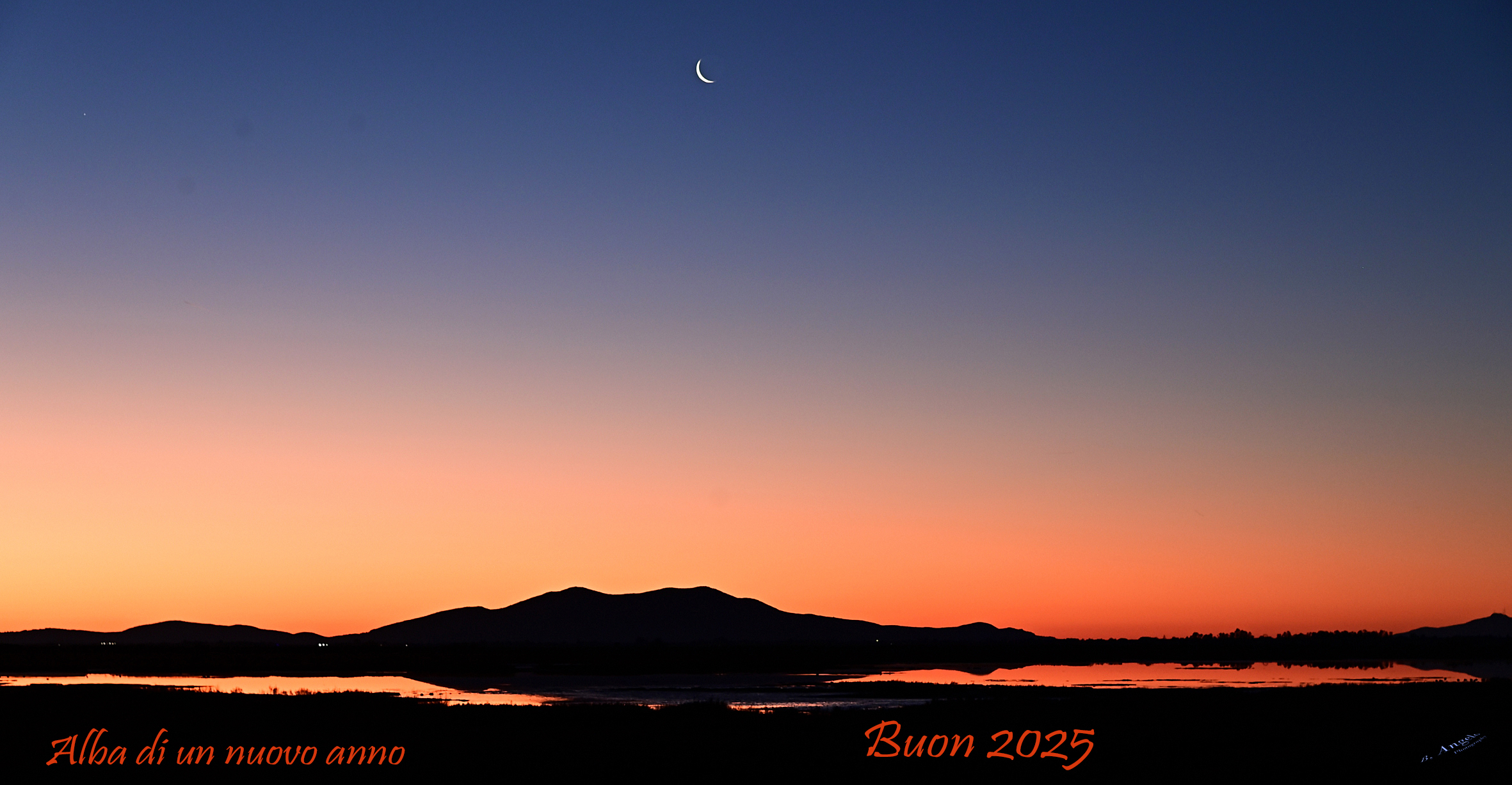 "Happy 2025" (Maremma Dawn)