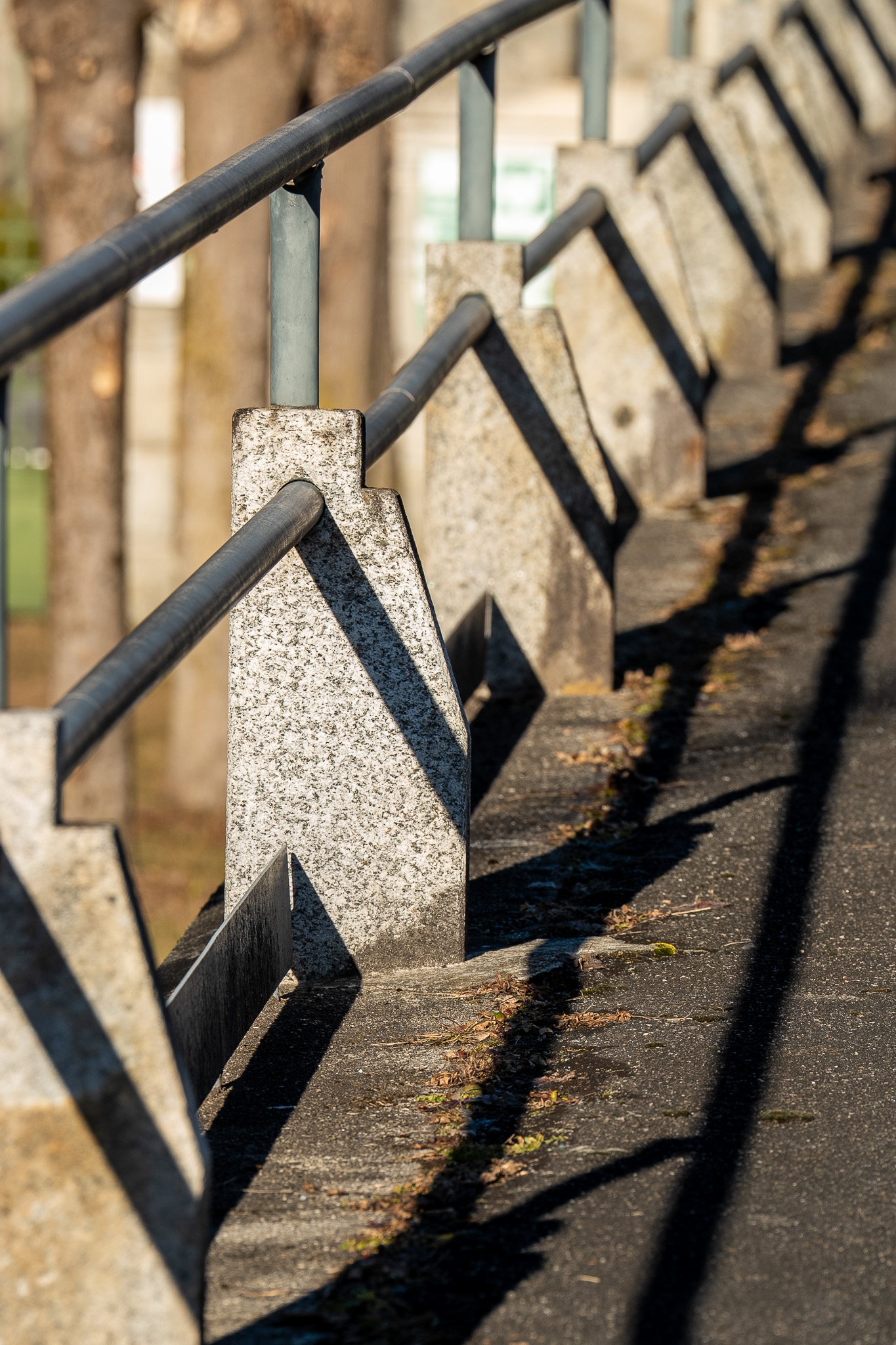non ferma la luce, solo l'ombra