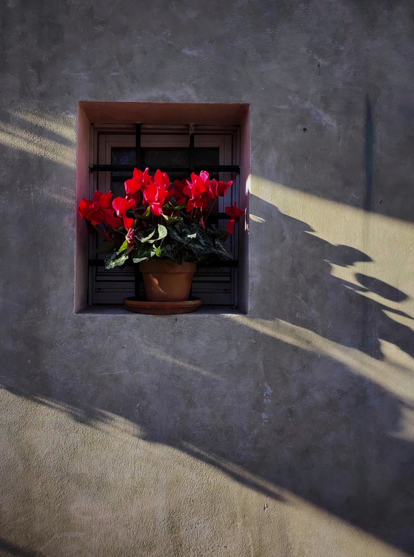 Buon Anno e buona luce a tutti