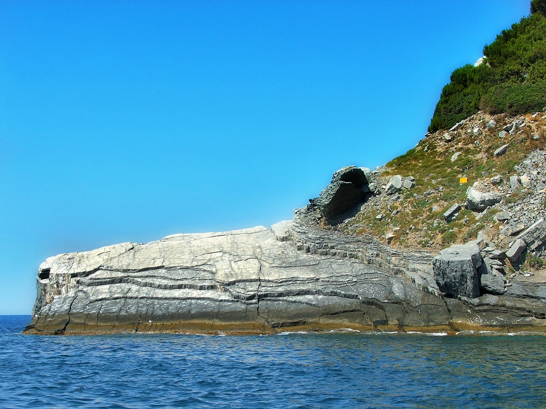 the crocodile (Palmaria Island, SP)
