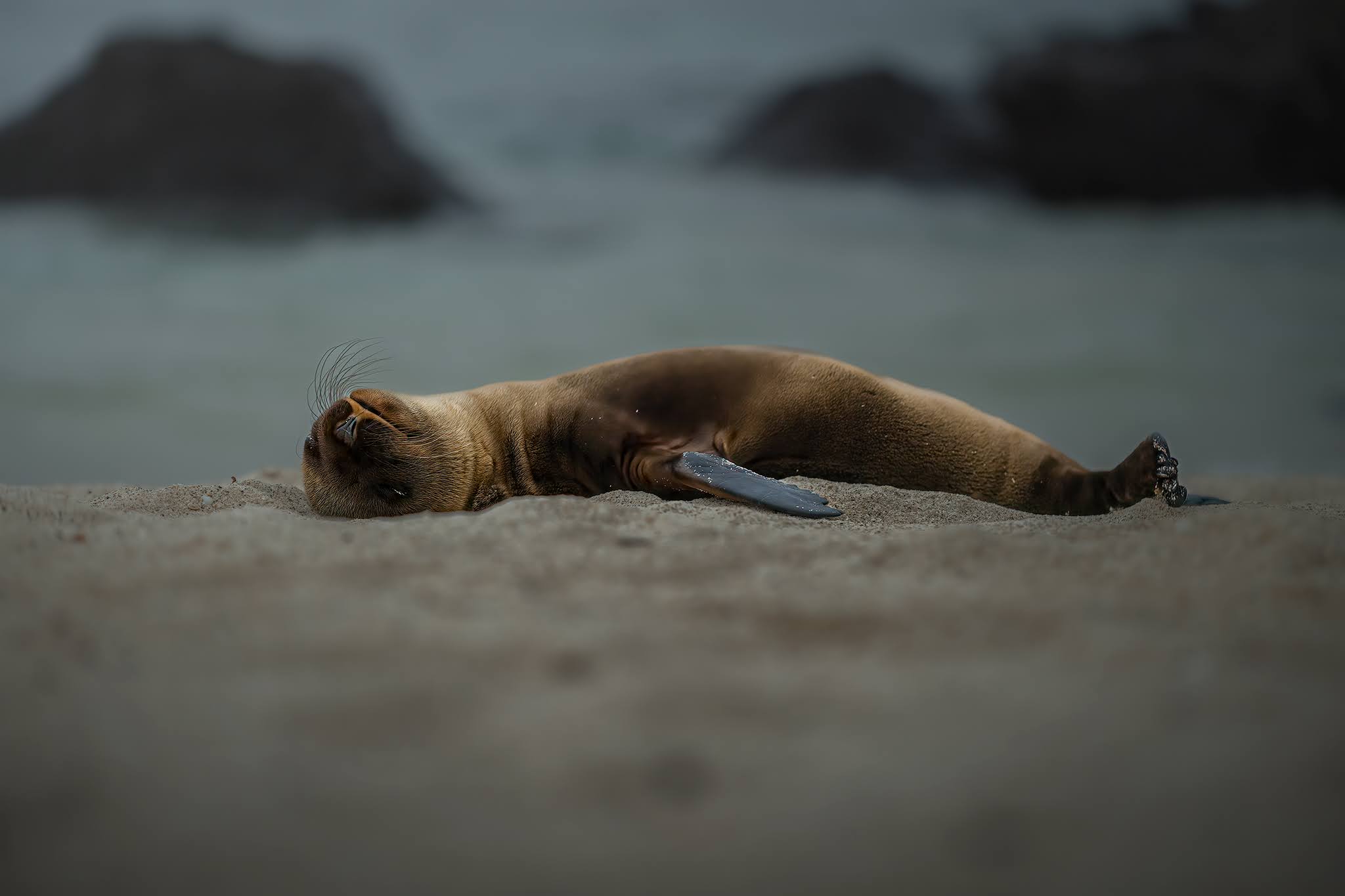 Very tired...