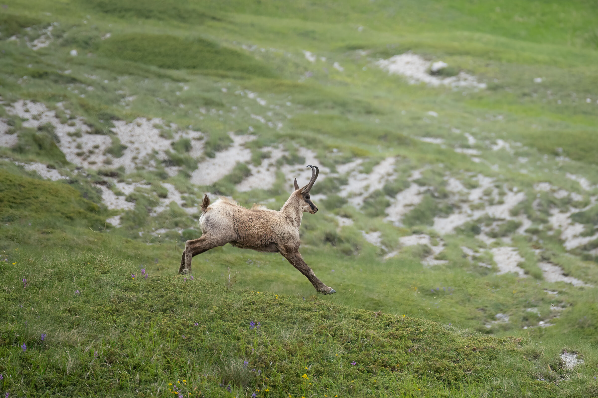 A jump and off we go