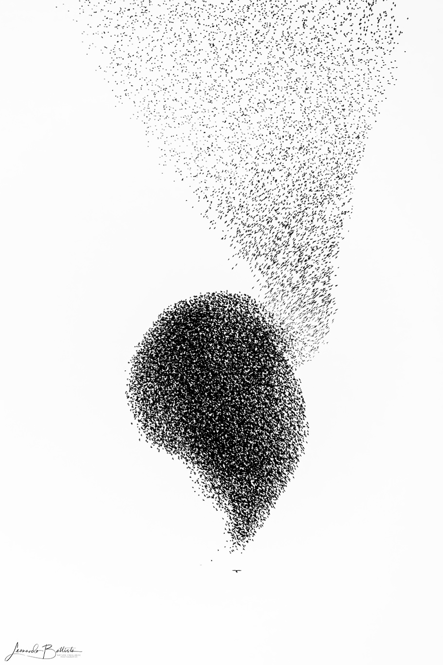 The shapes of air