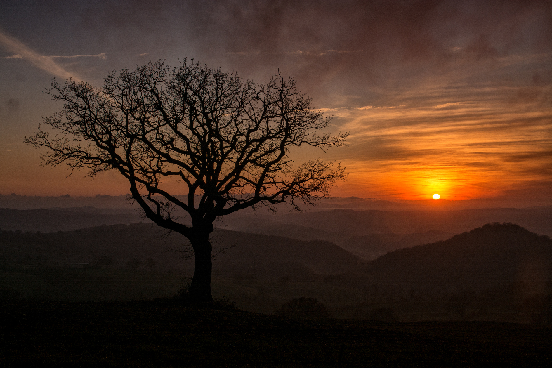 Tramonto di Maremma