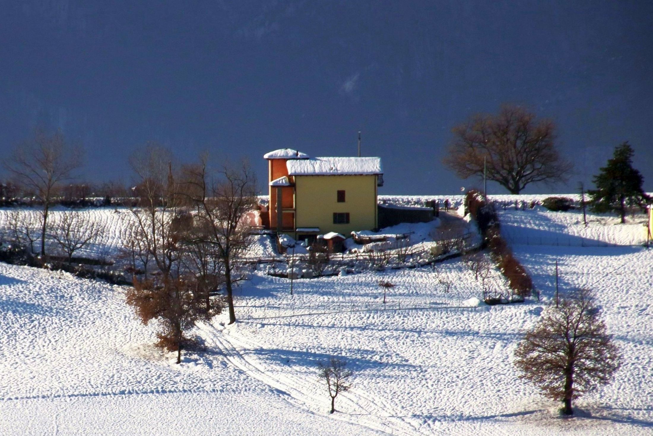 The house in the snow