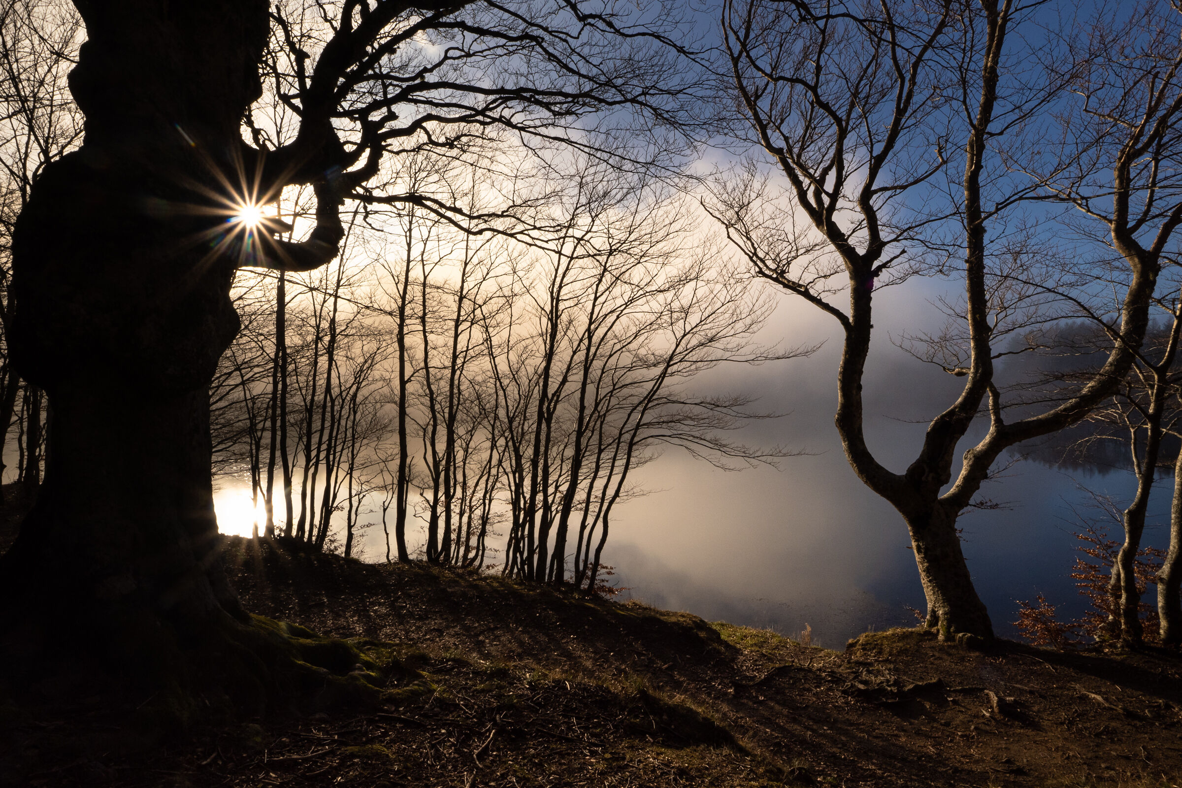 The mist of the morning