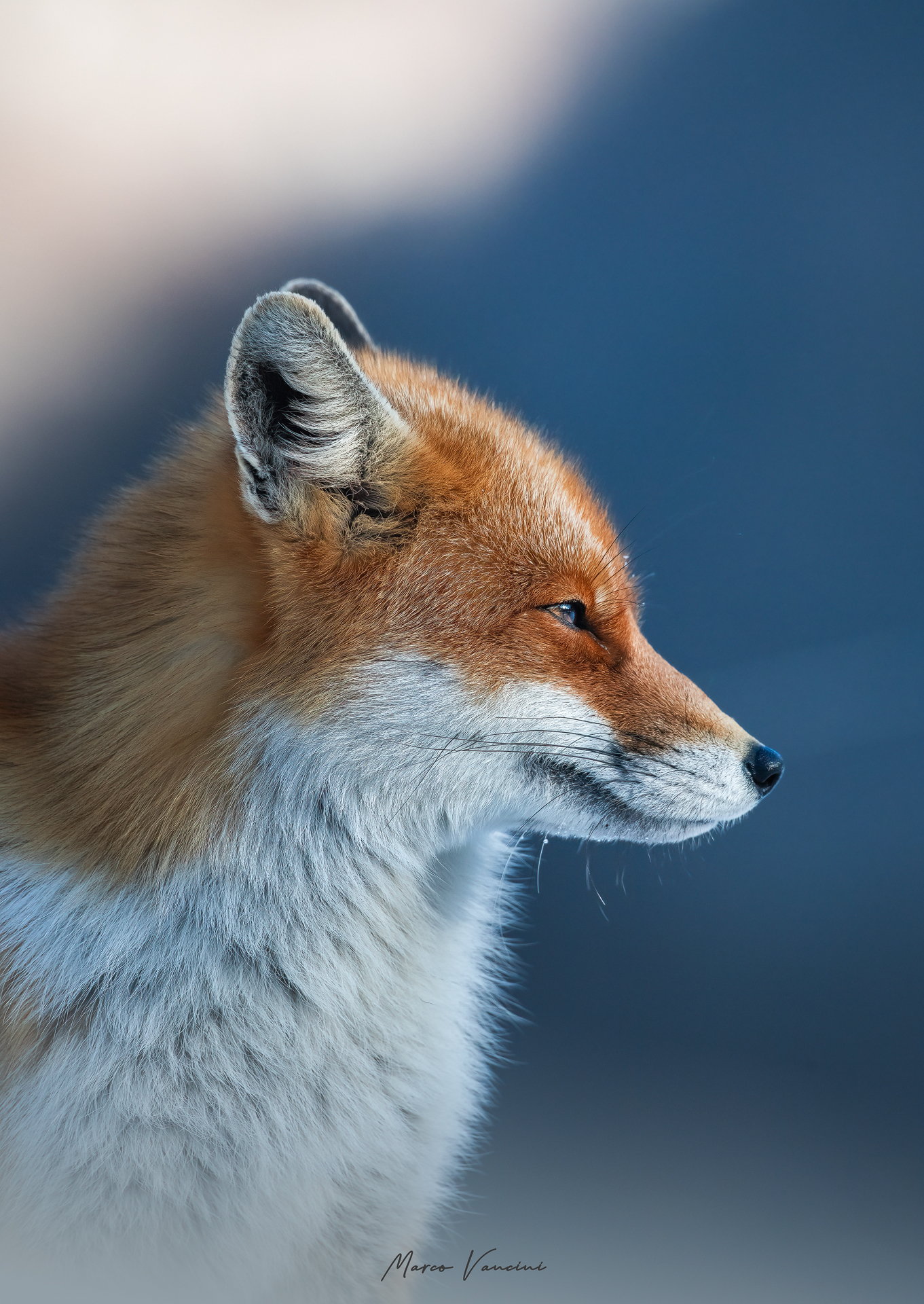 An expressive profile