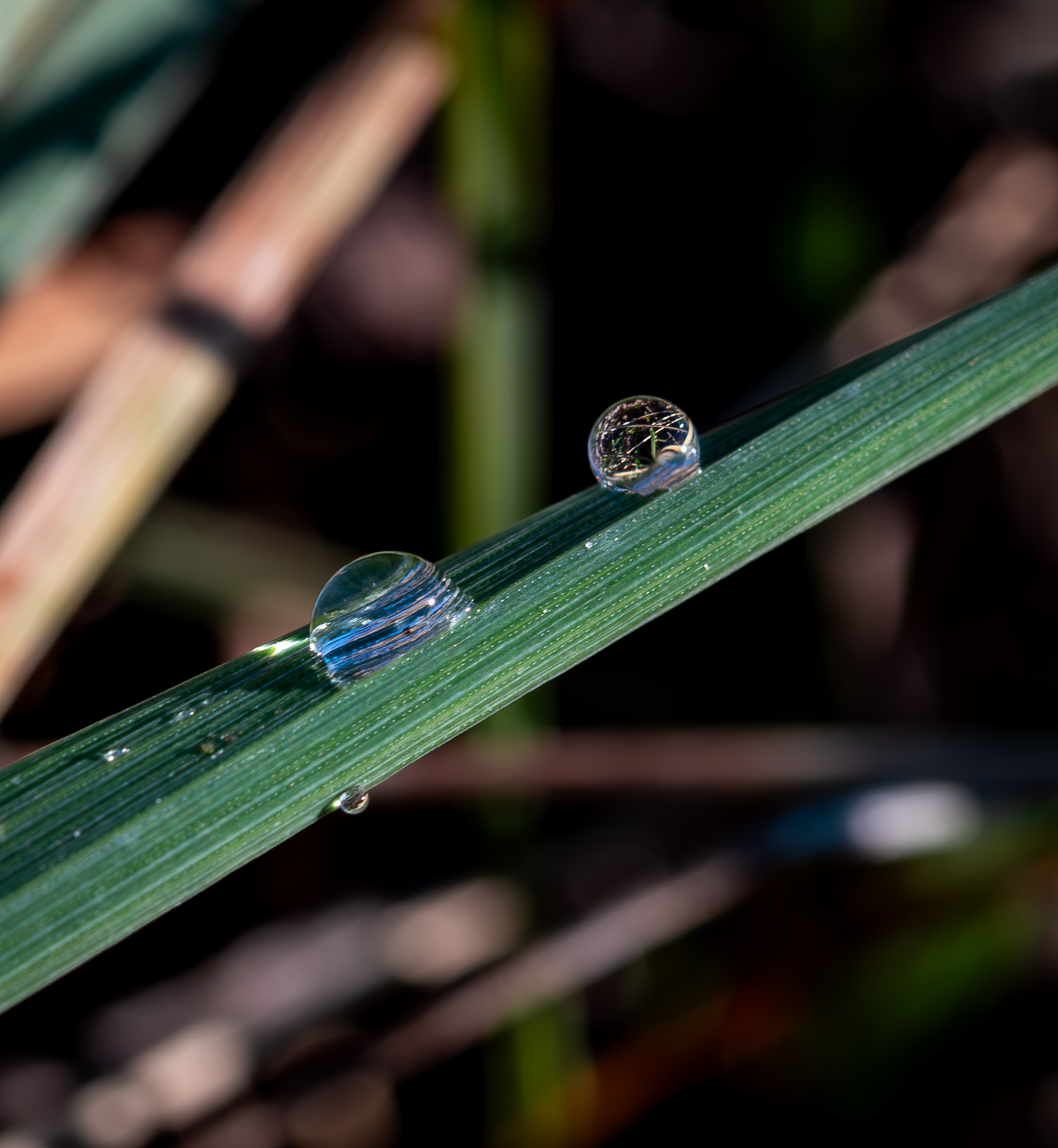 Droplets