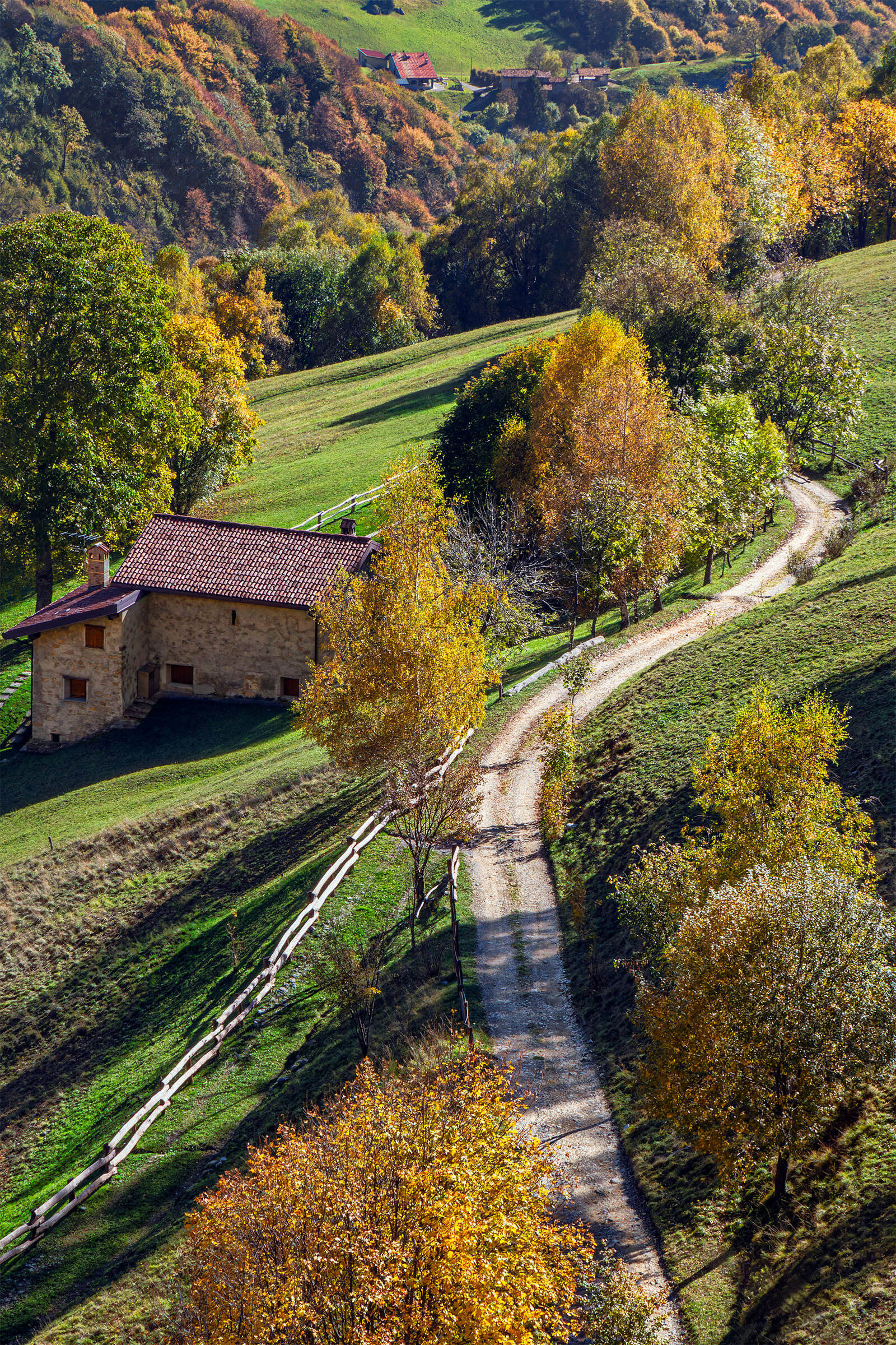 ... for the straight path was lost