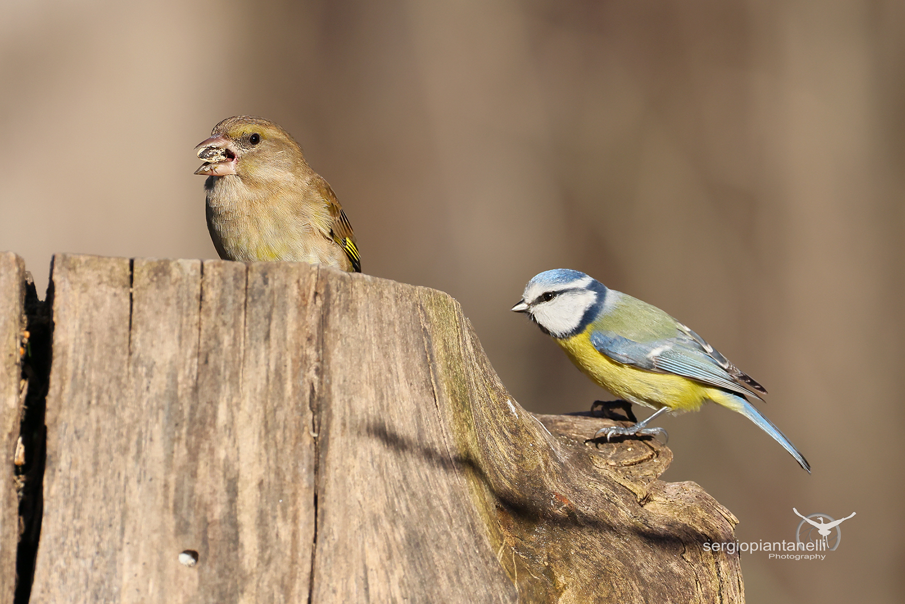 There is a queue at the self-service