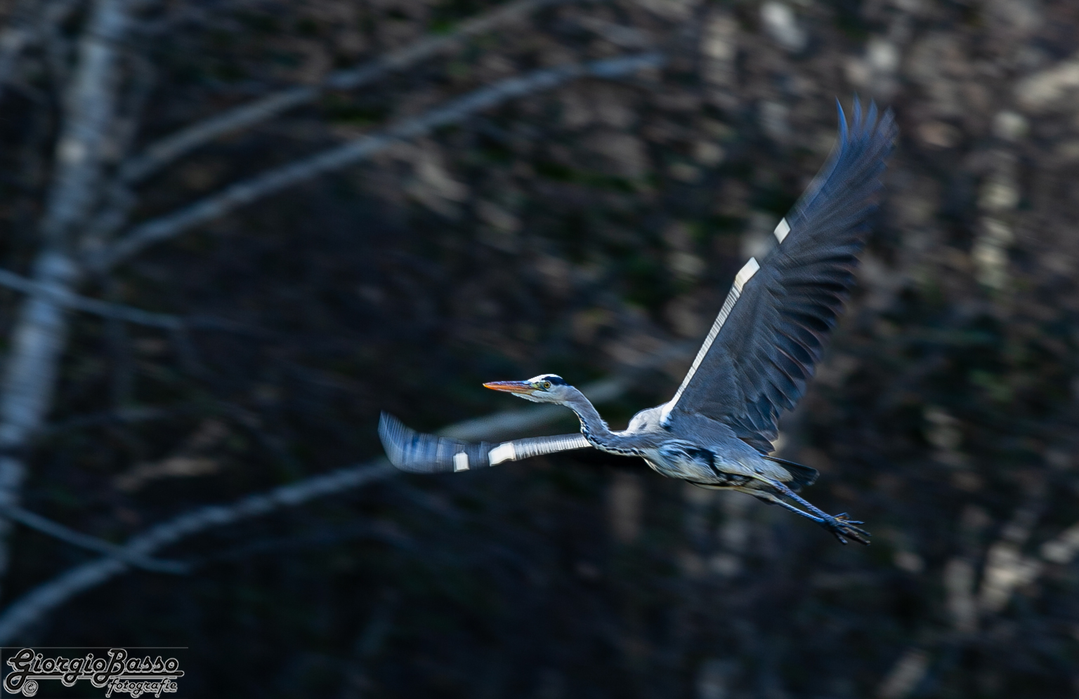 in flight