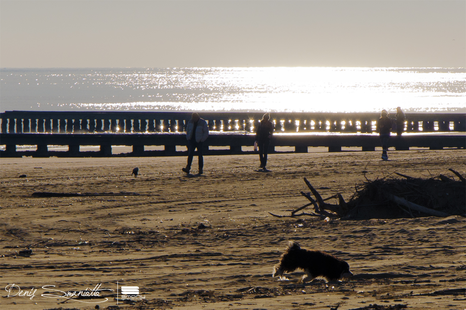 The where the sea, cold, glitters
