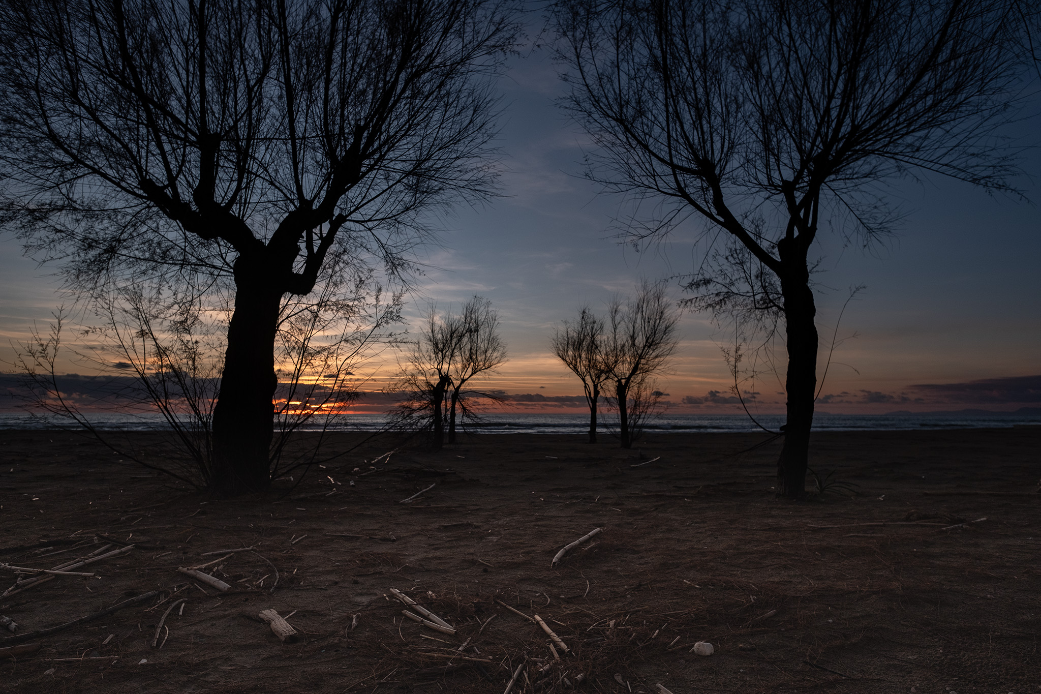 Nature a stone's throw from the sea