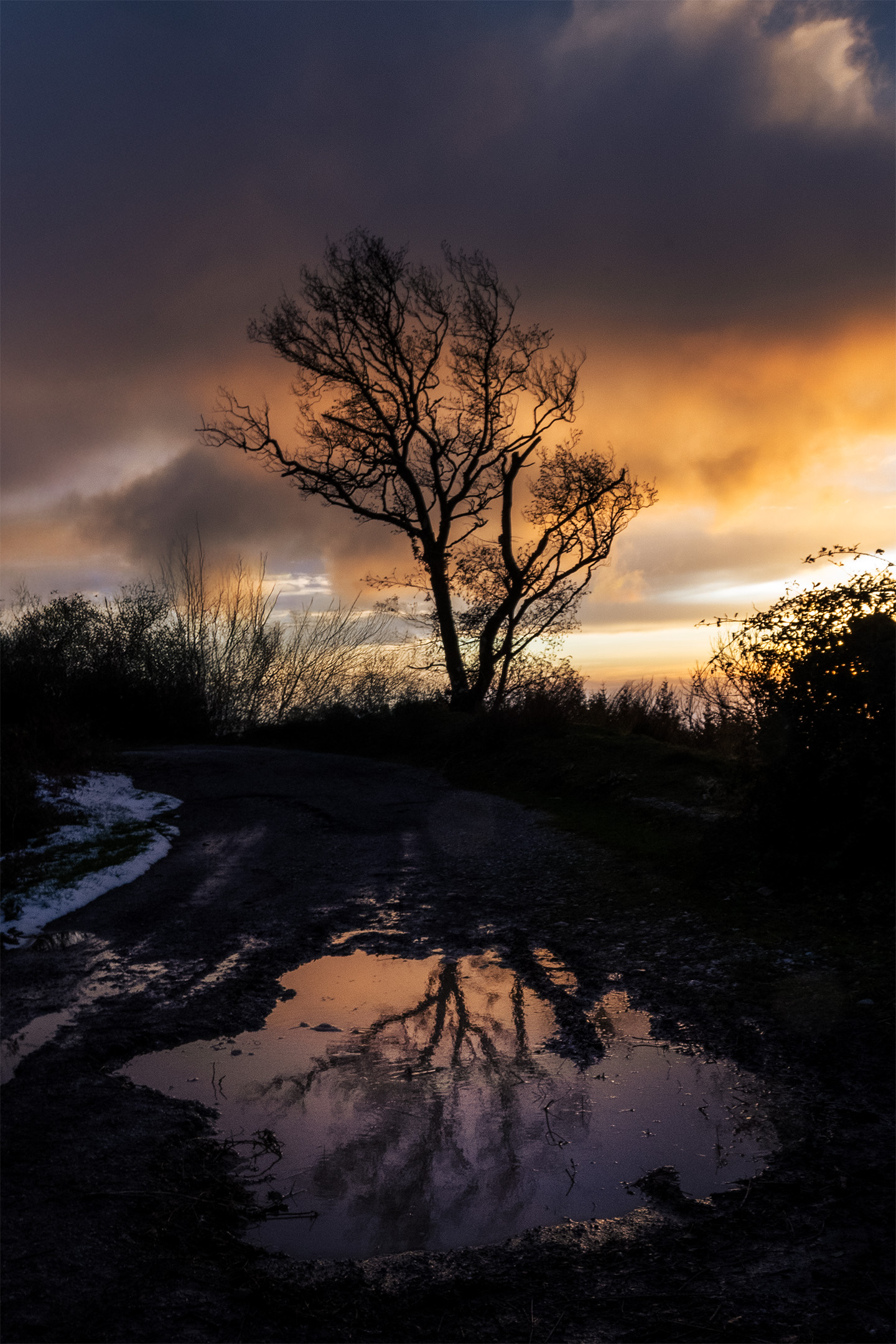 Riflessi del tramonto