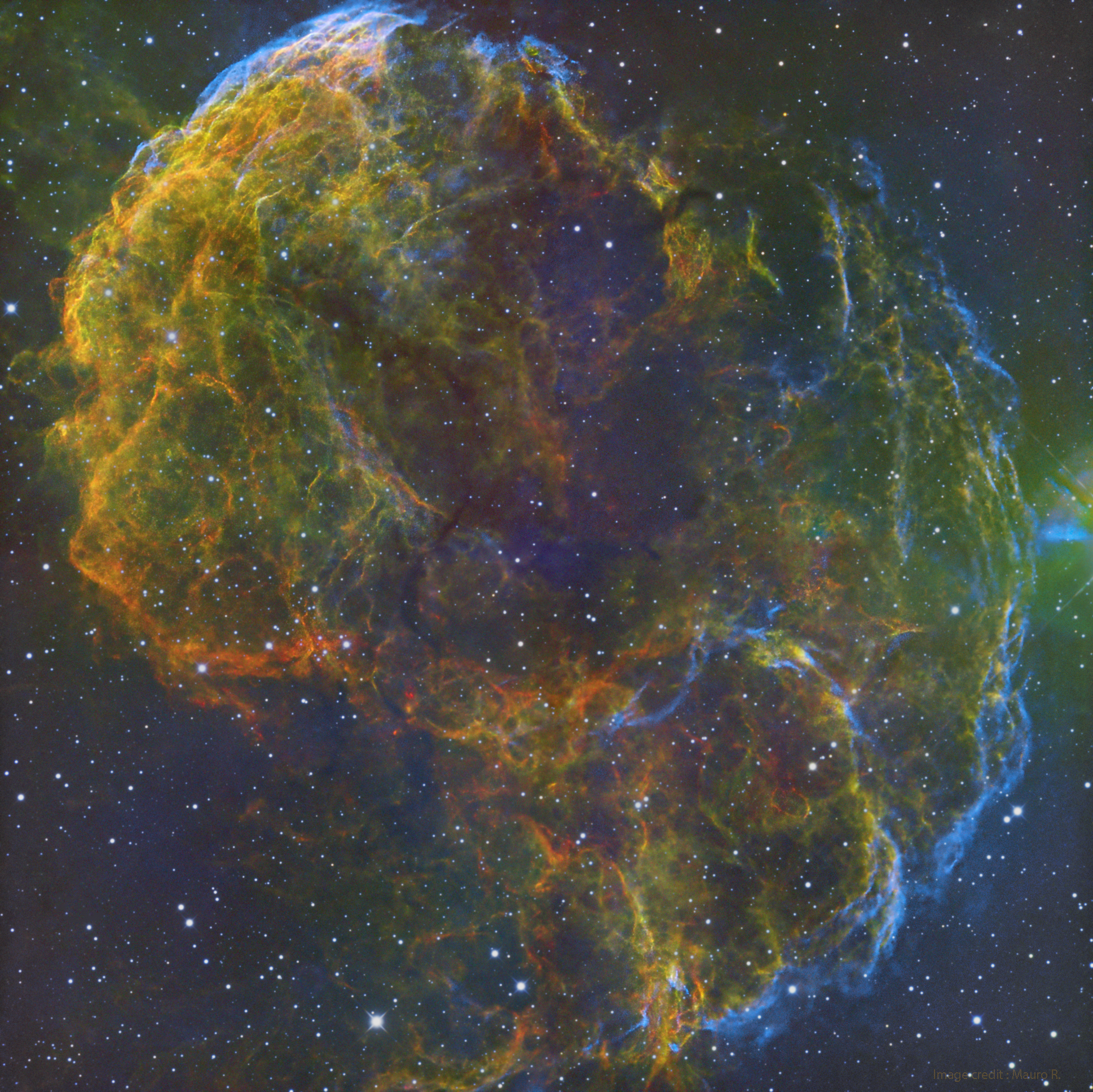 A jellyfish at a depth of two meters IC 443