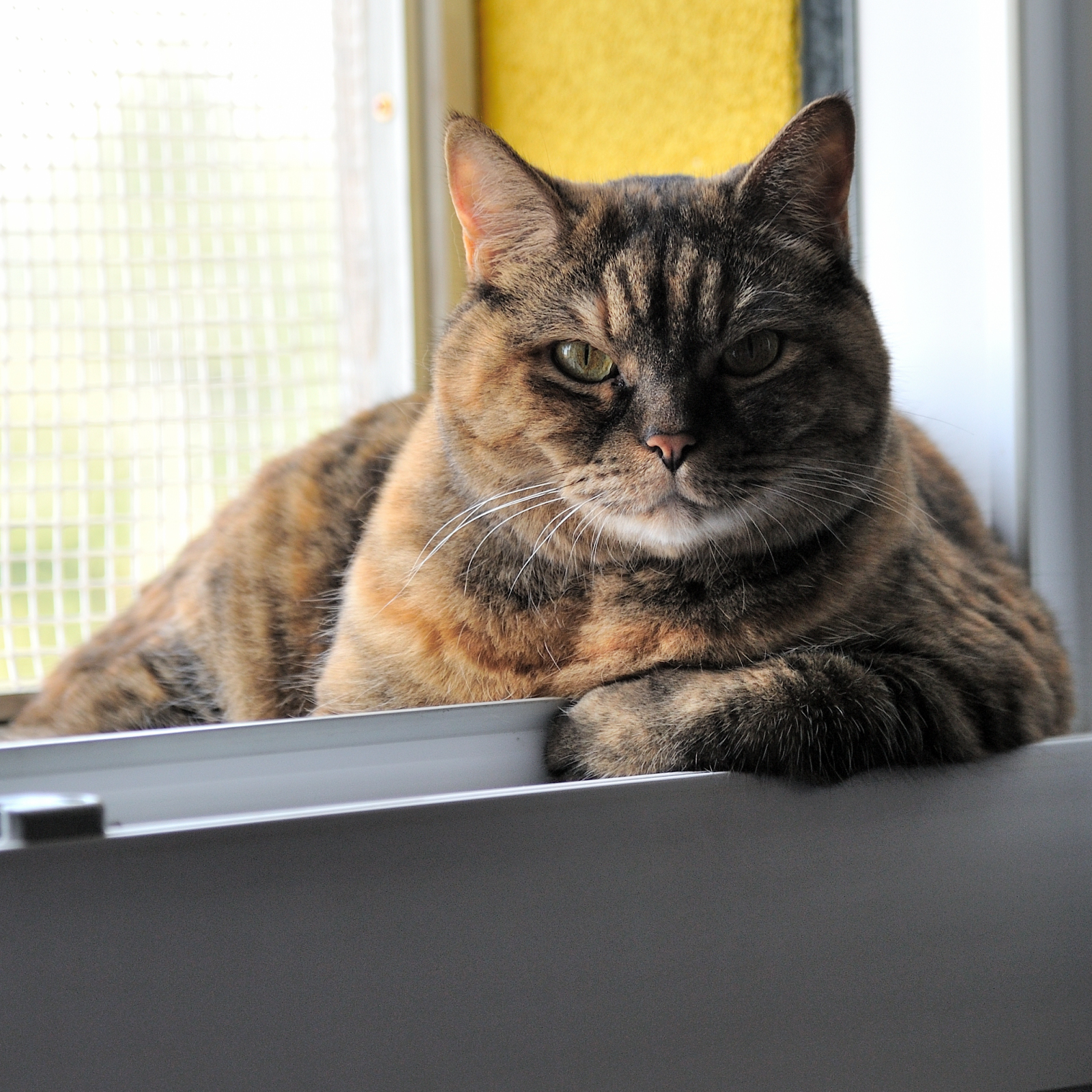 Human, sit back and let's talk