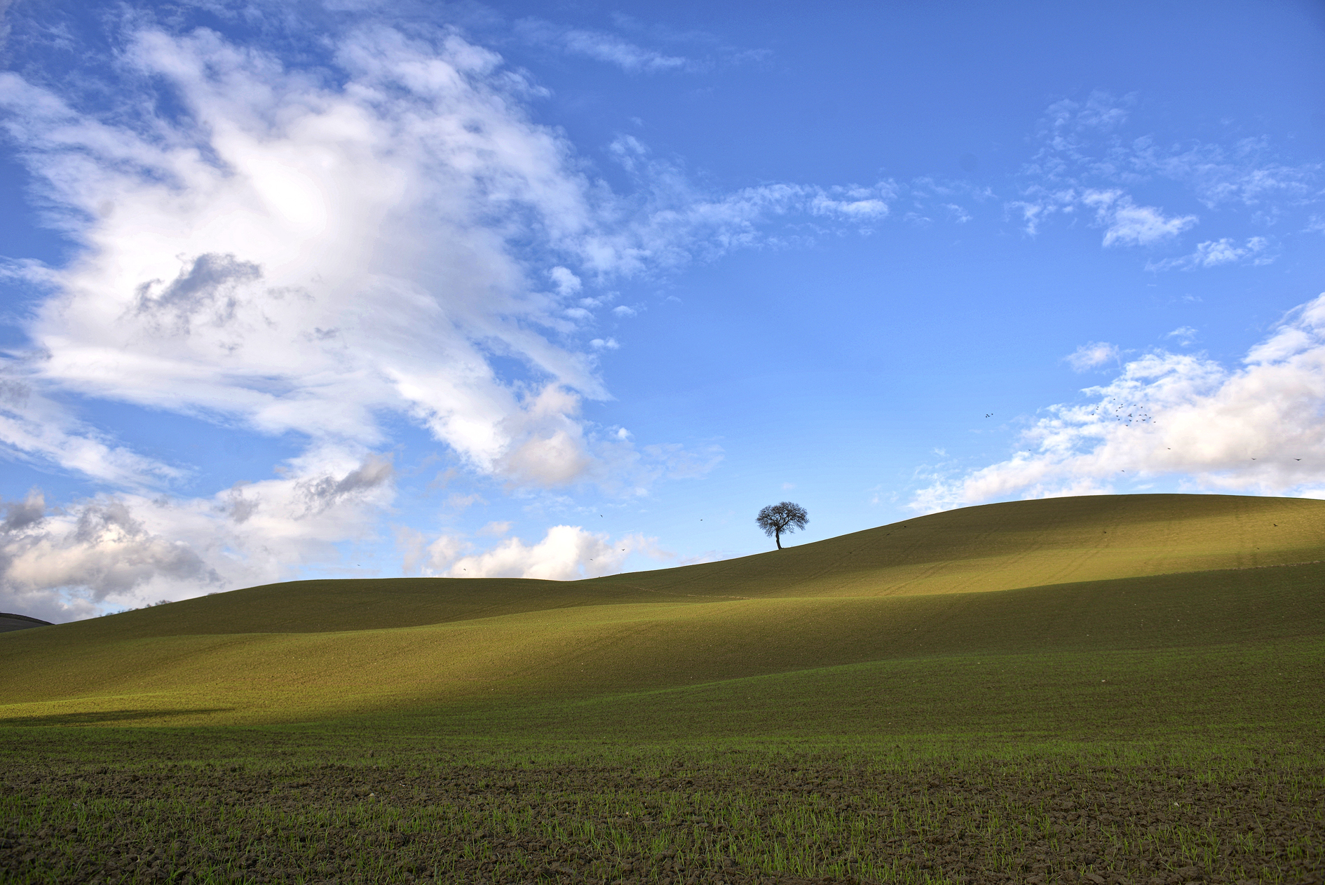 Terre si Toscana