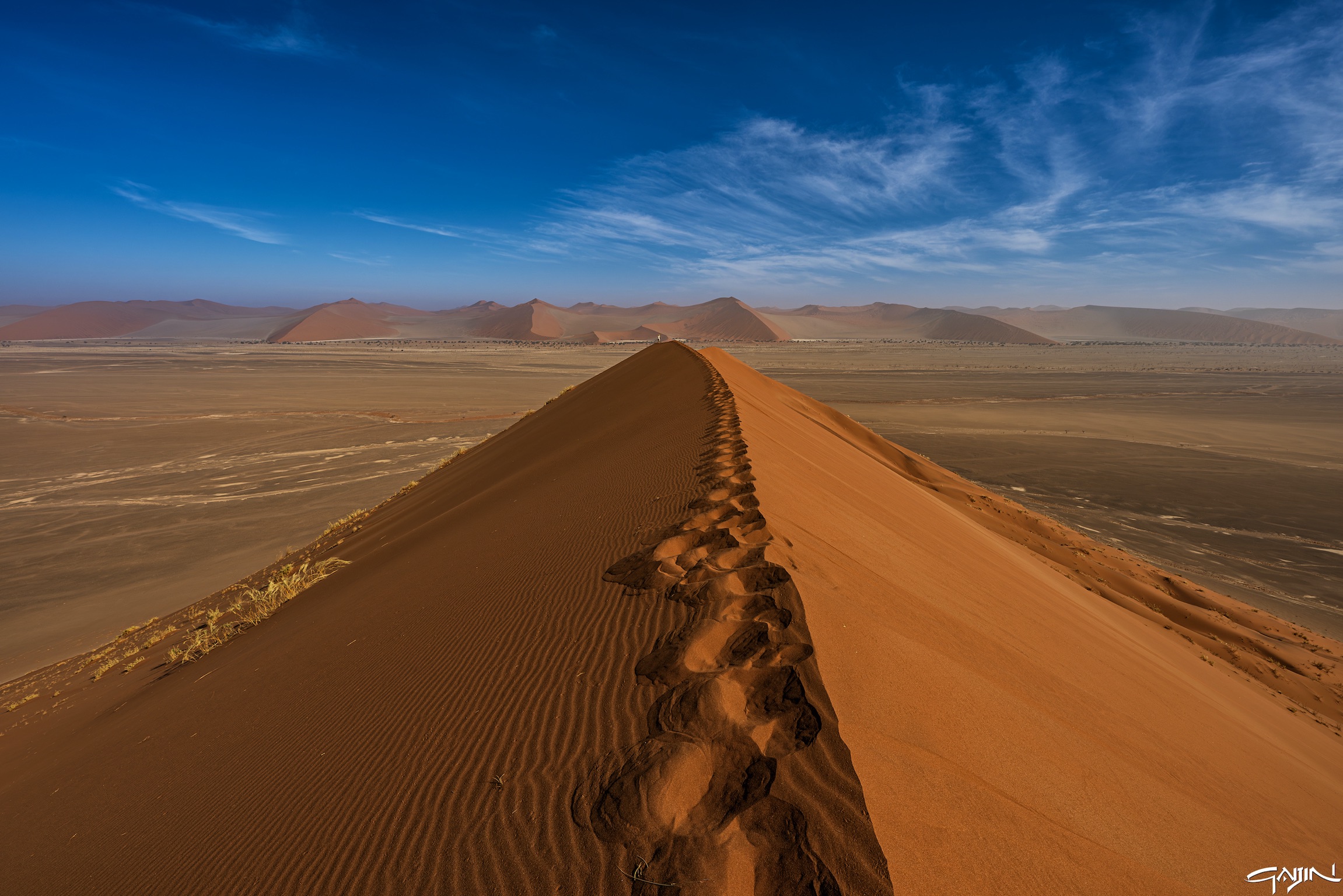Dune 40
