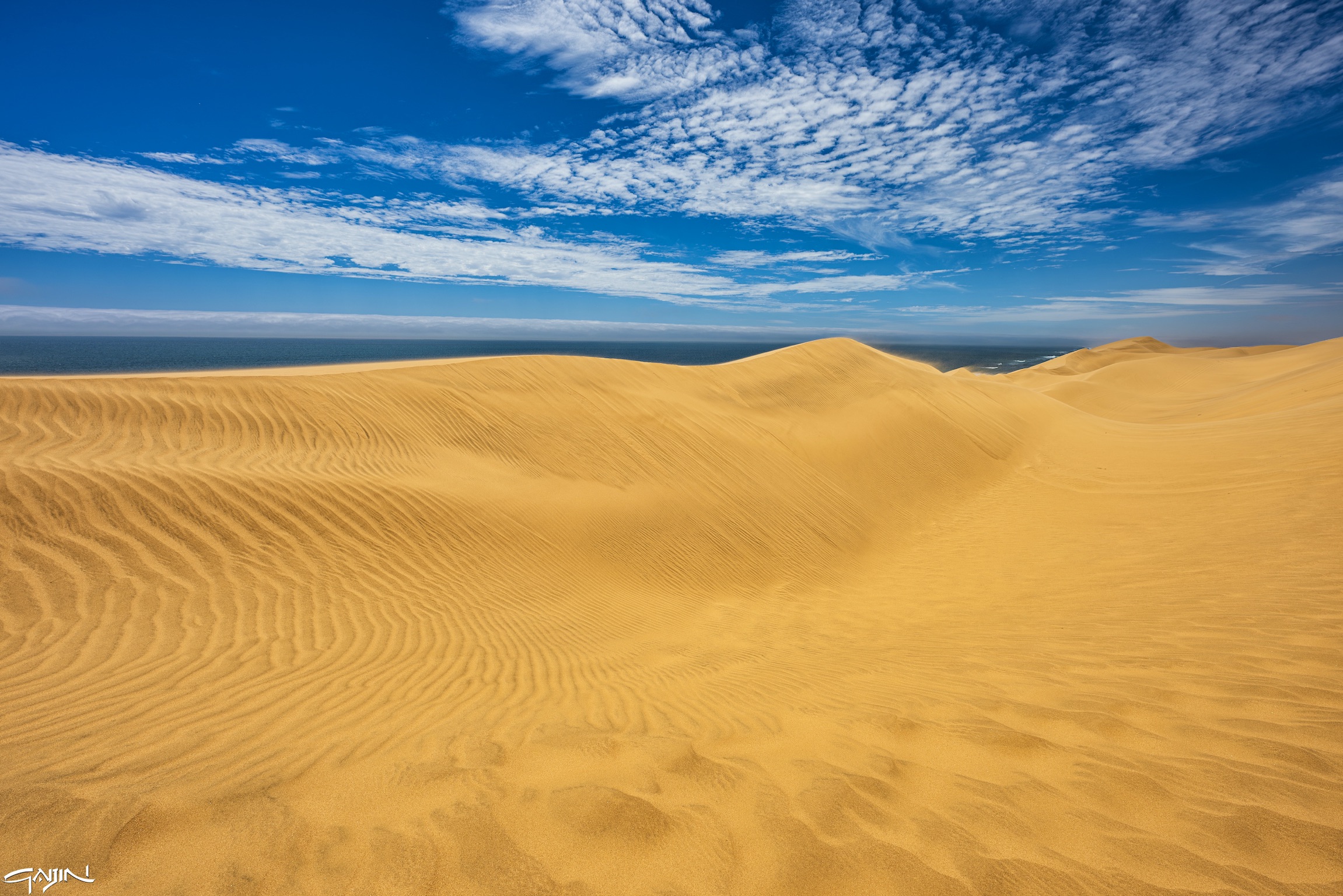 Il Namib incontra l'Atlantico
