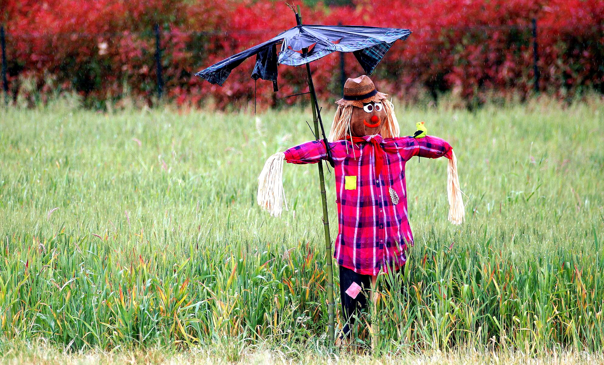 Proprio perche' piove!!!