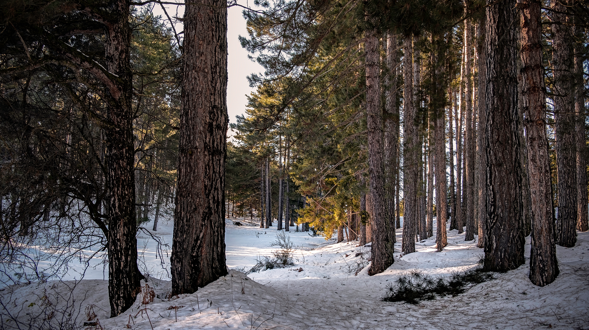 Come nelle Fiabe - Sila