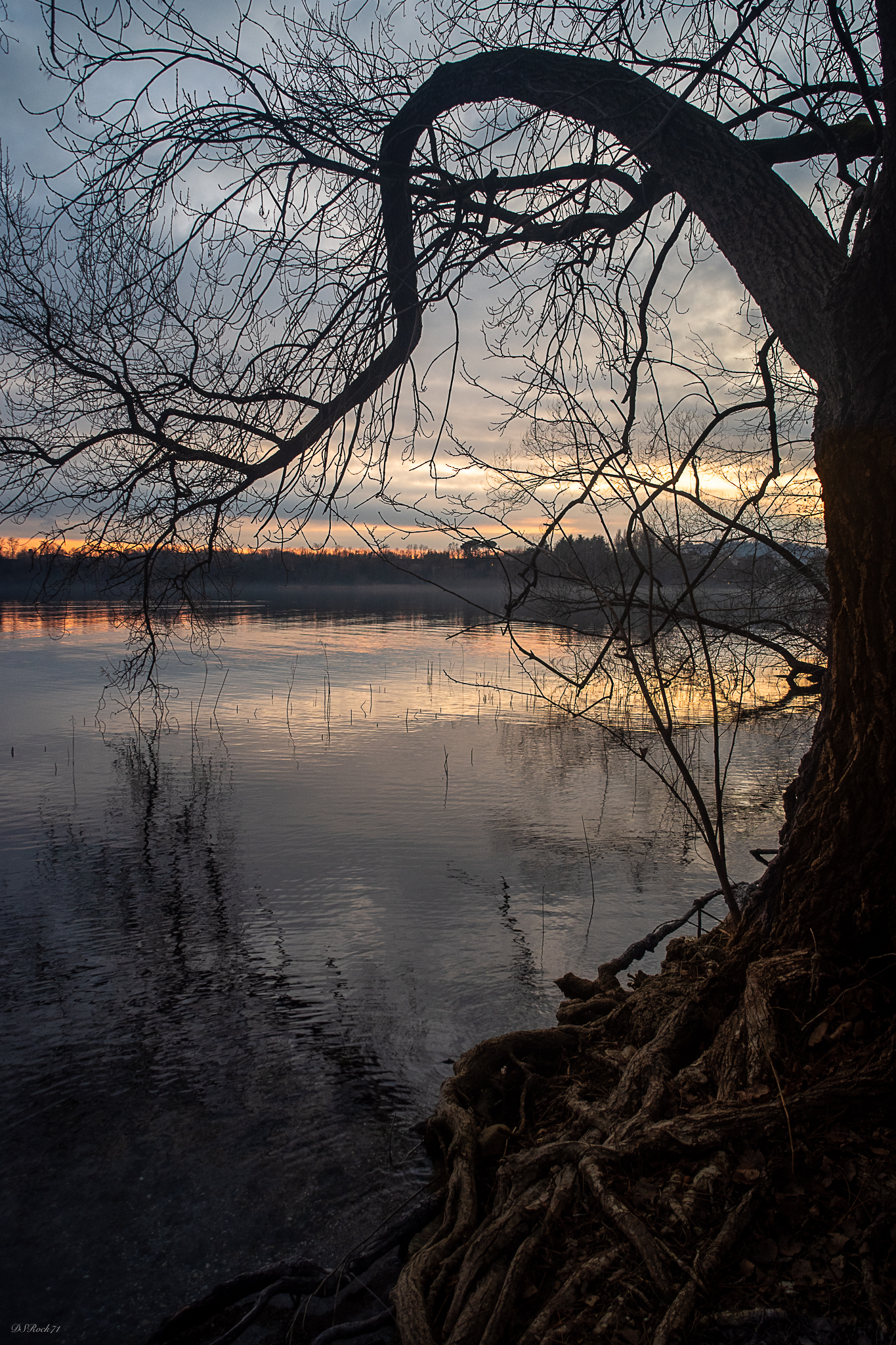 Un pomeriggio di Gennaio del '25