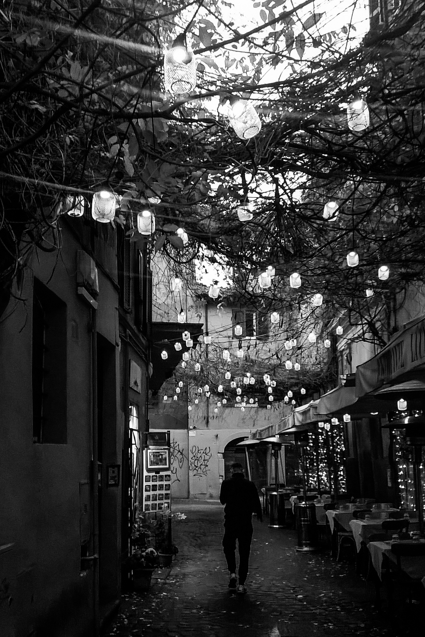 Luci di Trastevere