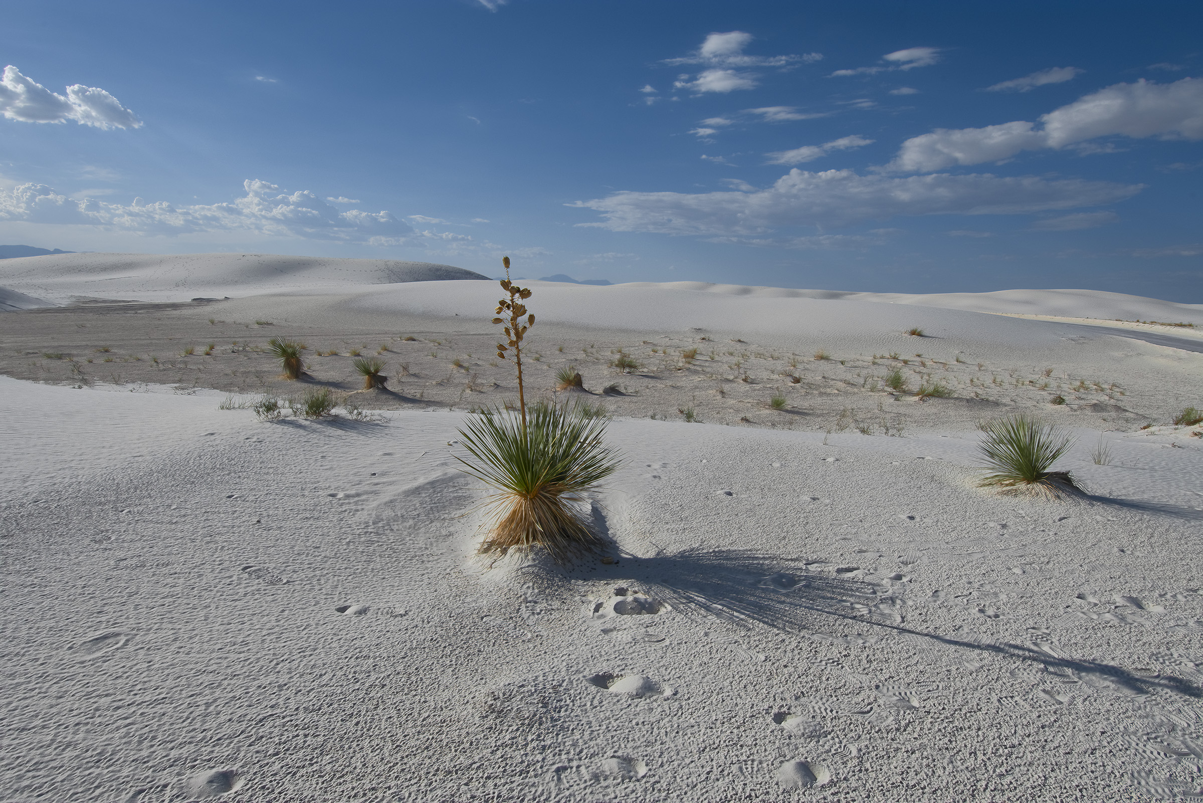White Sands National Park