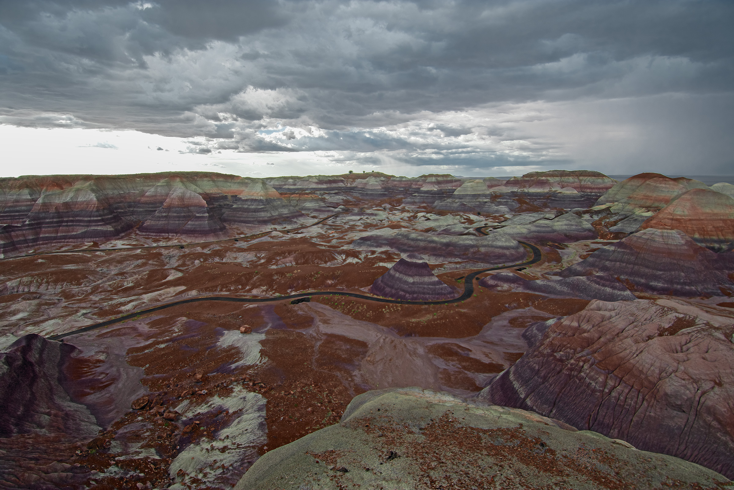 Petrified Forest National Park
