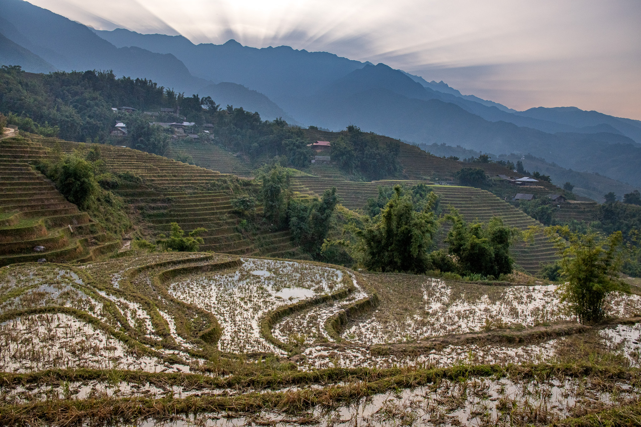 Tramonto sulle risaie