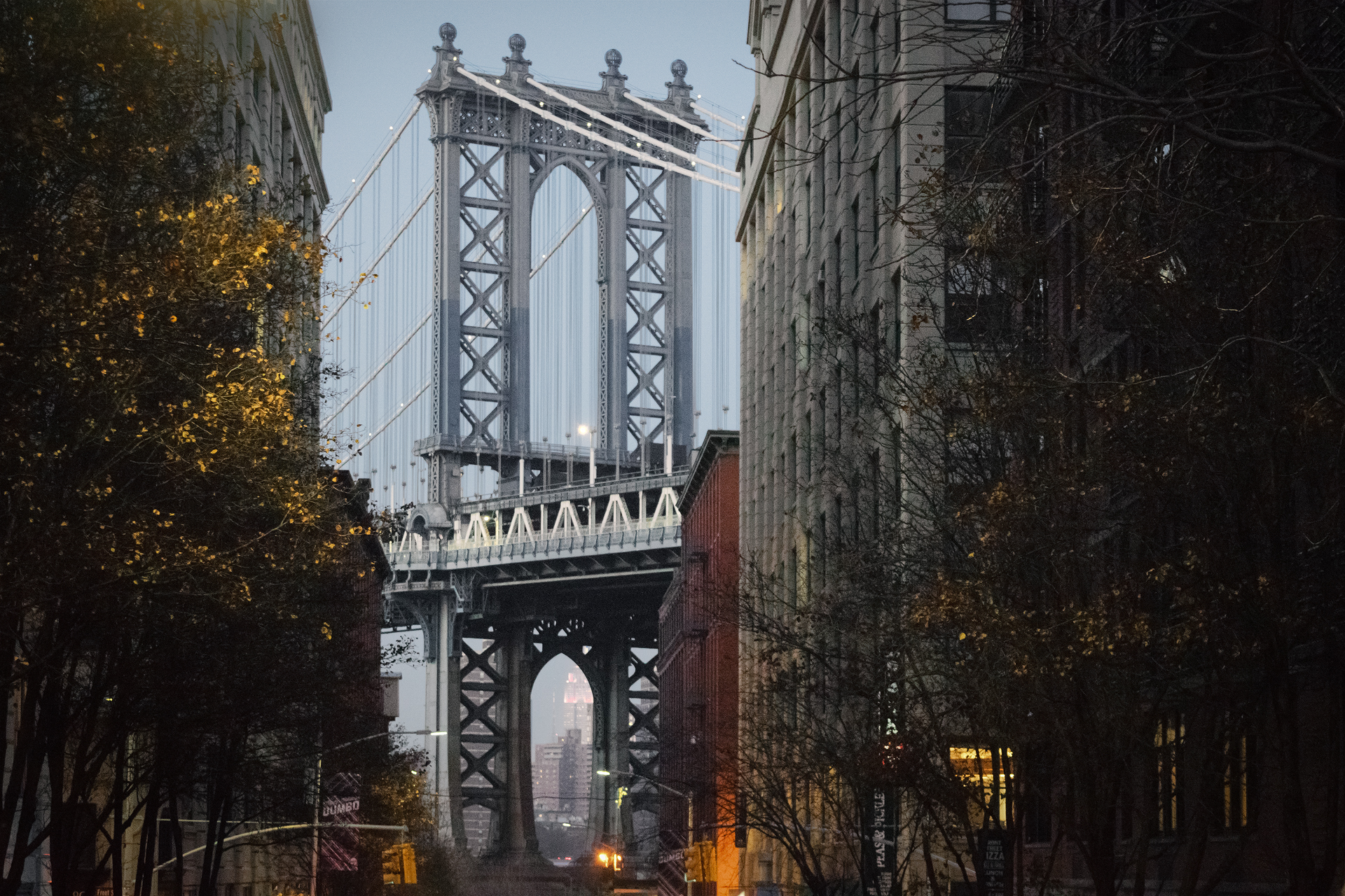 dumbo